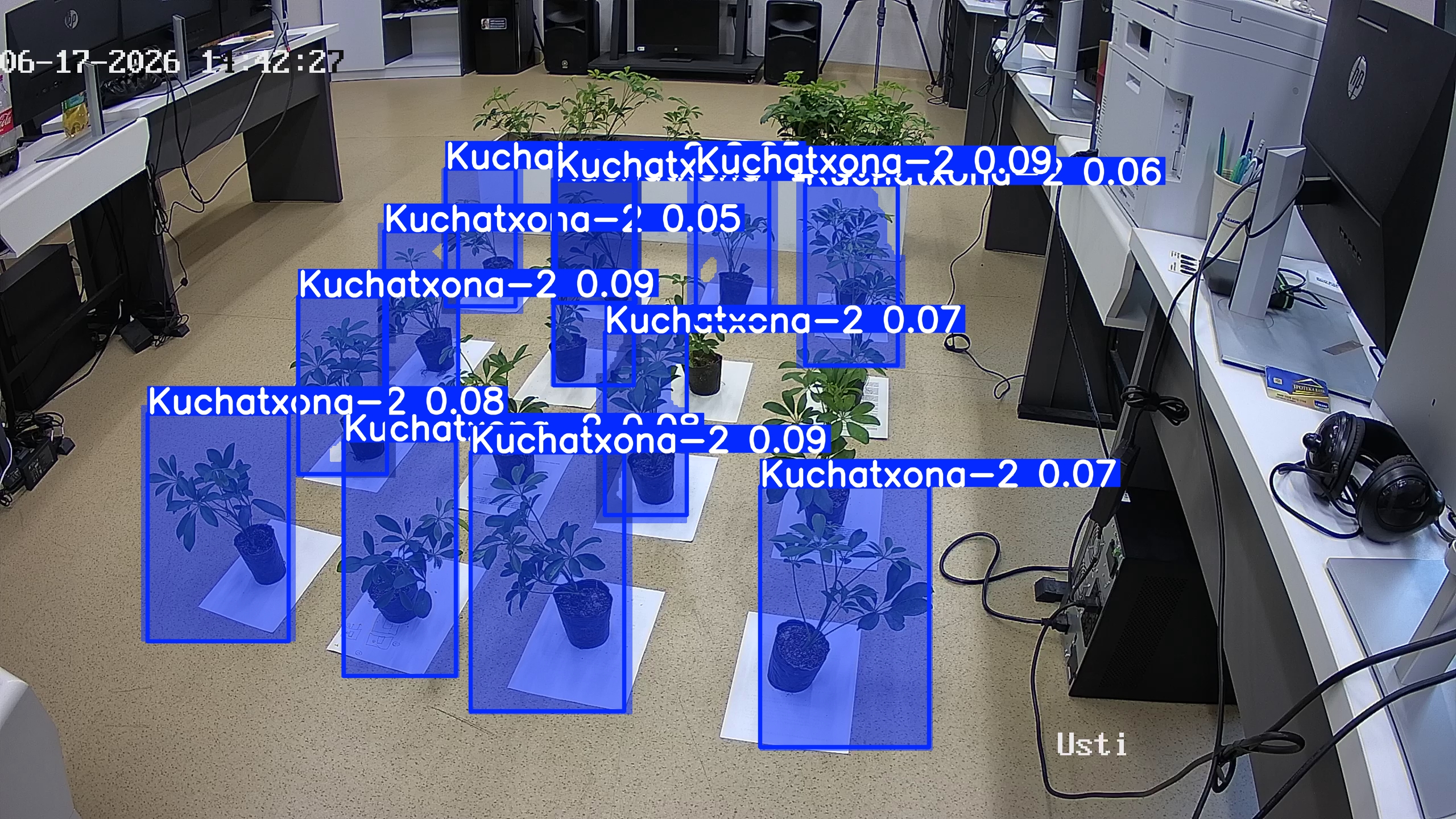 seedling_2026-06-17_14-42-40.jpg