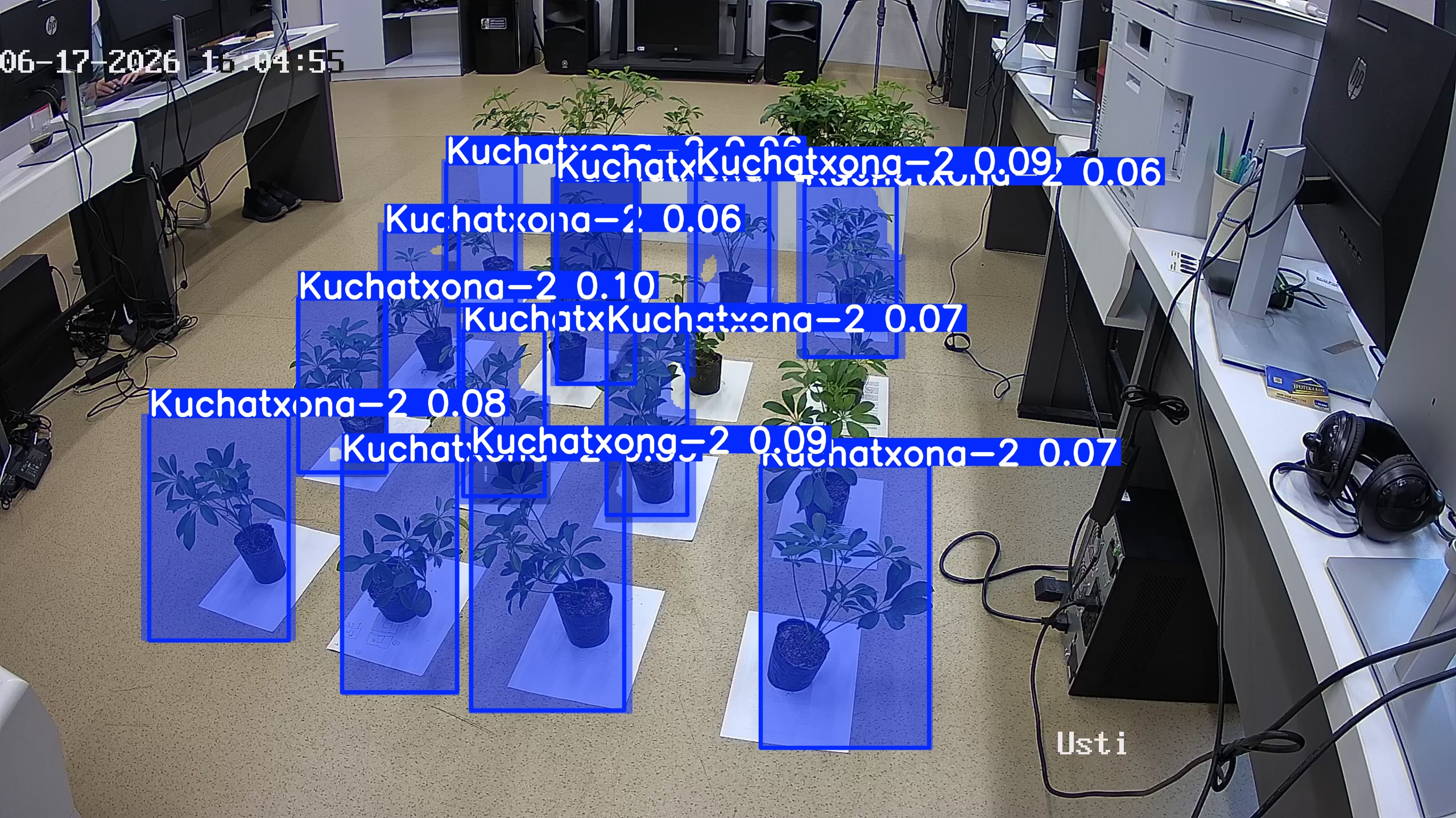 seedling_2026-06-17_16-05-37.jpg