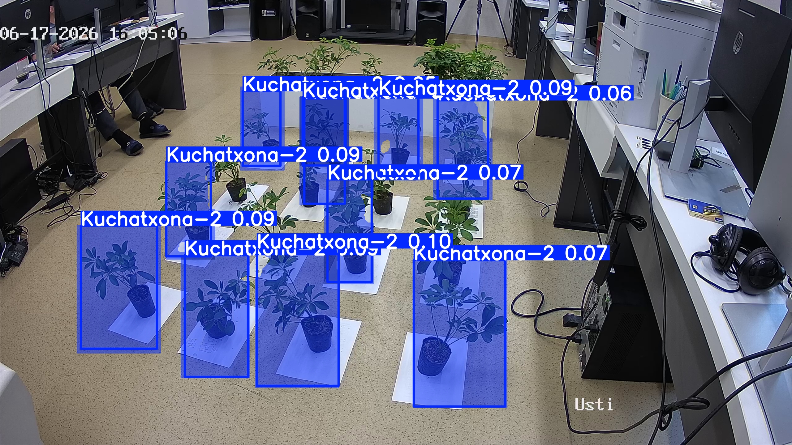 seedling_2026-06-17_16-06-01.jpg