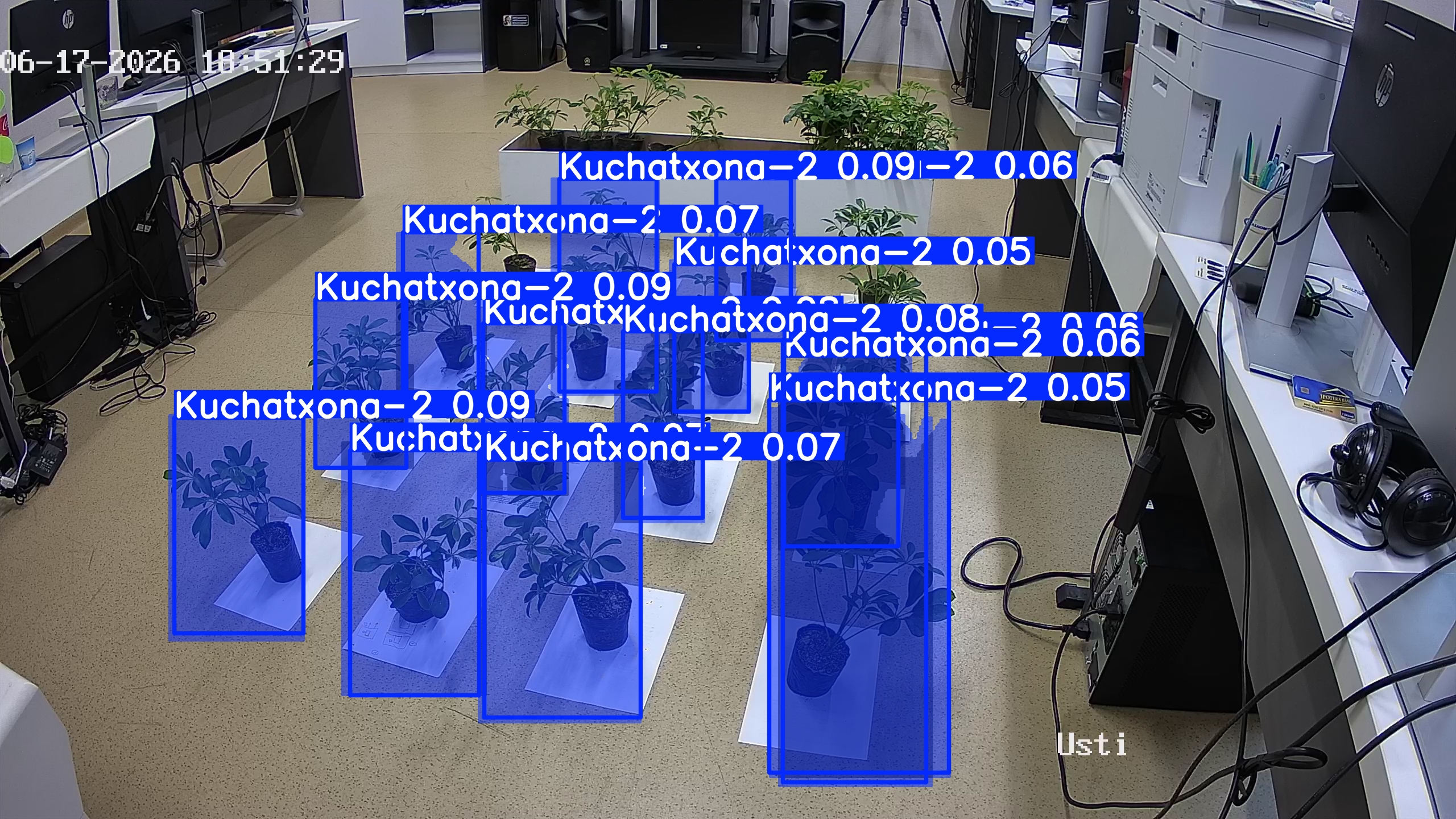 seedling_2026-06-17_18-52-19.jpg