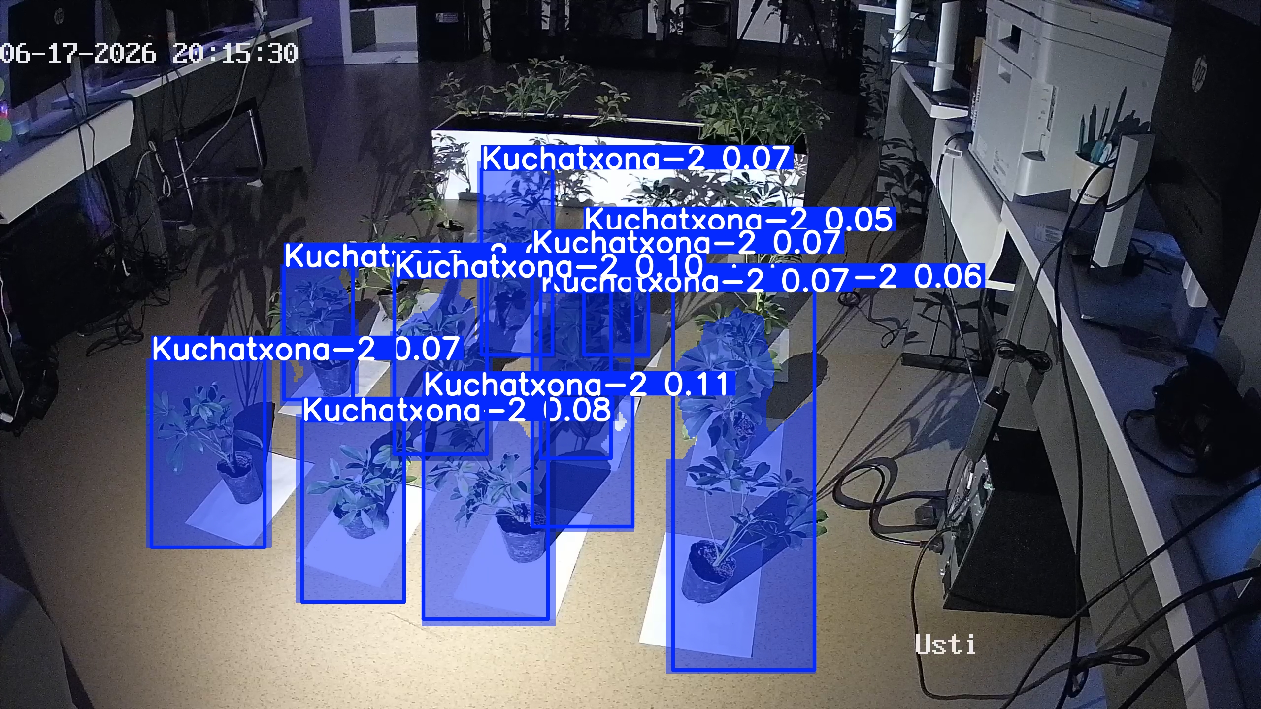 seedling_2026-06-17_20-16-12.jpg