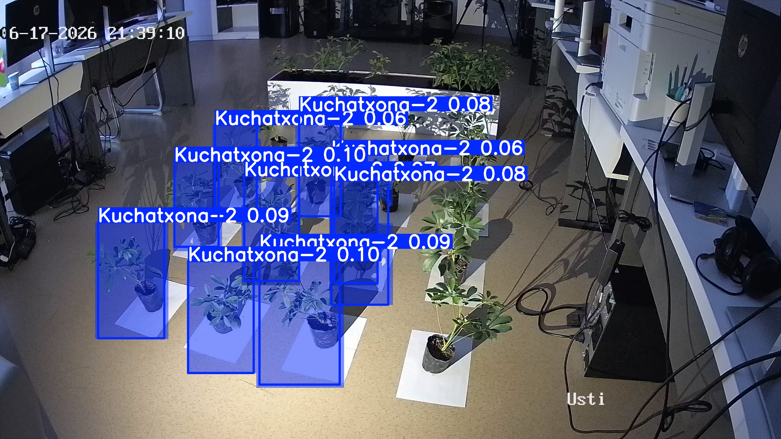 seedling_2026-06-17_21-39-33.jpg