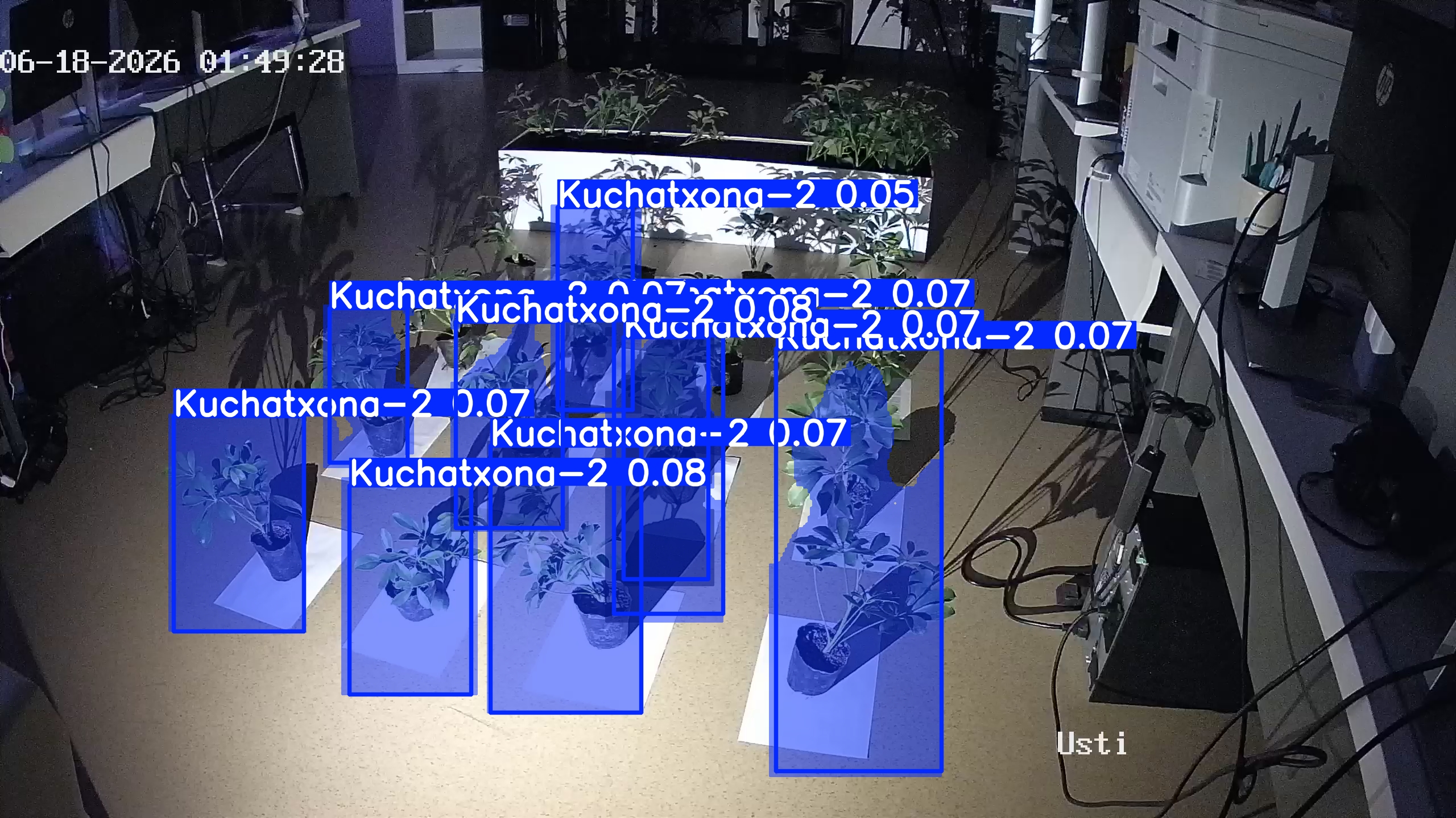 seedling_2026-06-18_01-49-41.jpg