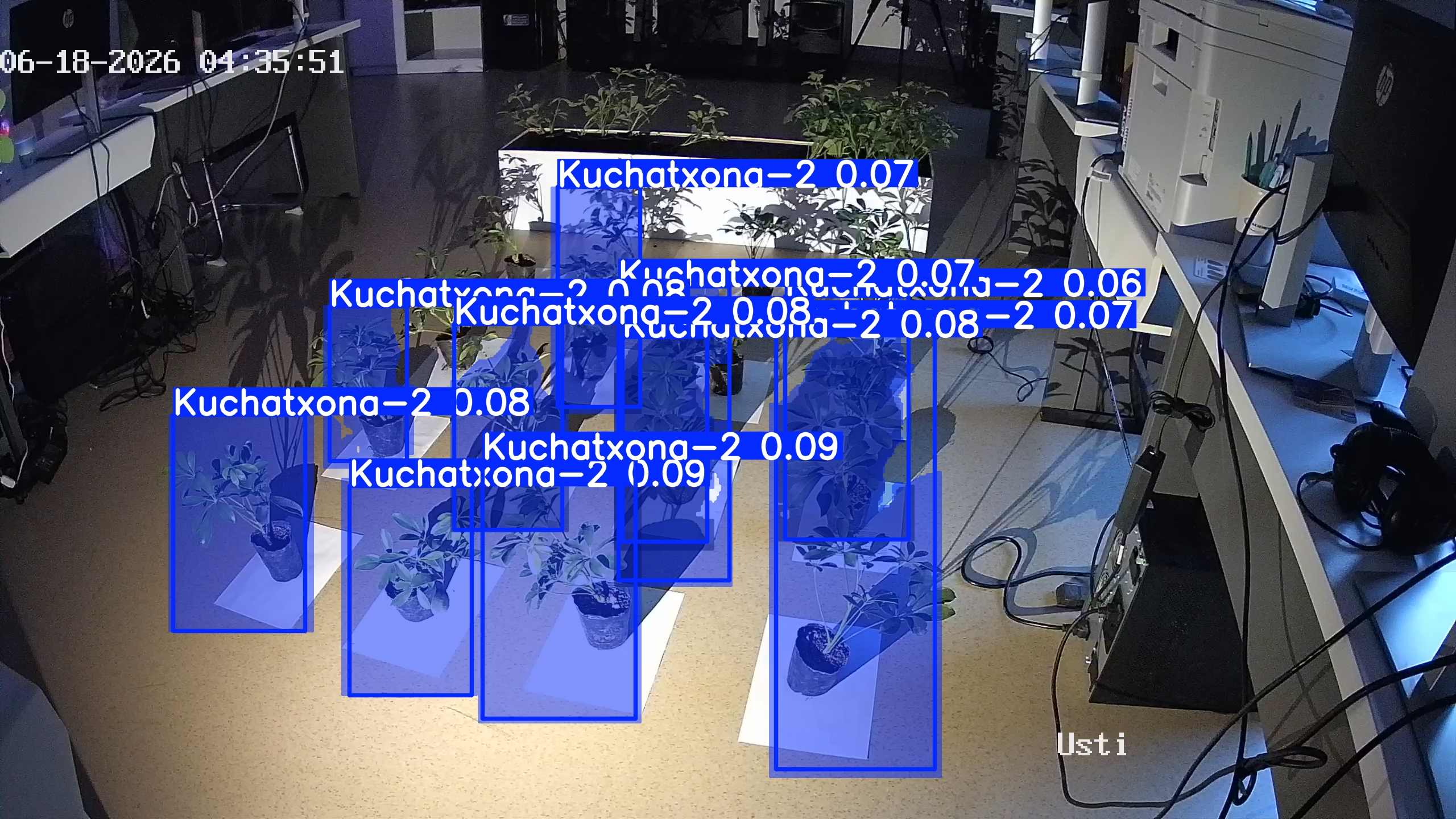 seedling_2026-06-18_04-36-28.jpg