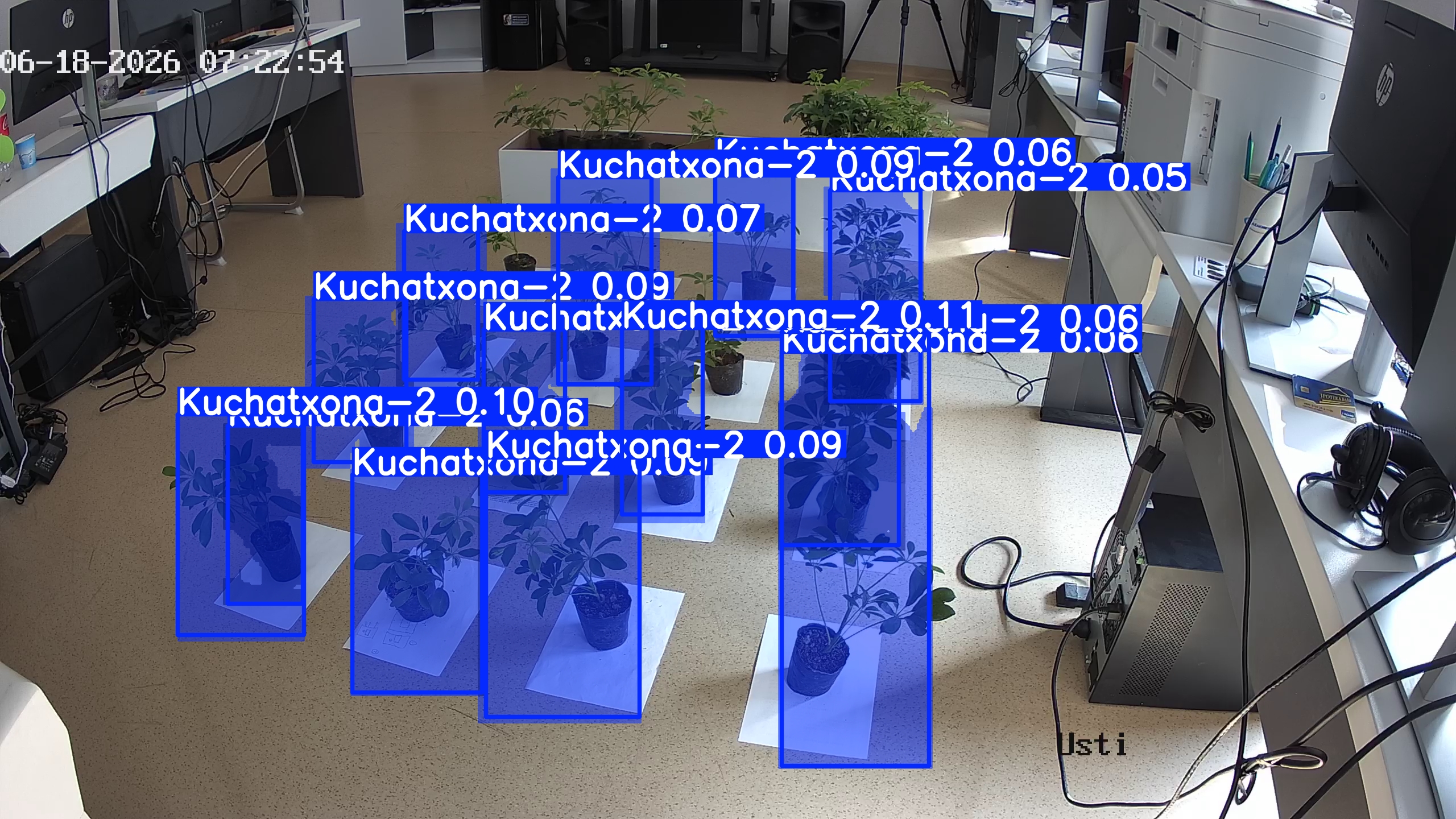 seedling_2026-06-18_07-23-14.jpg