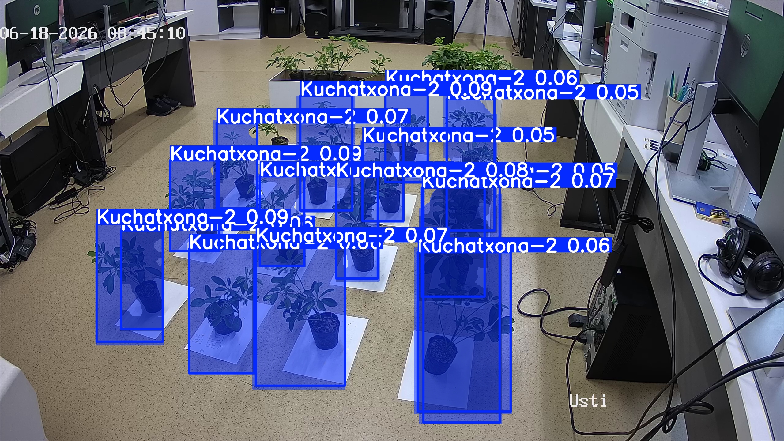 seedling_2026-06-18_08-46-00.jpg