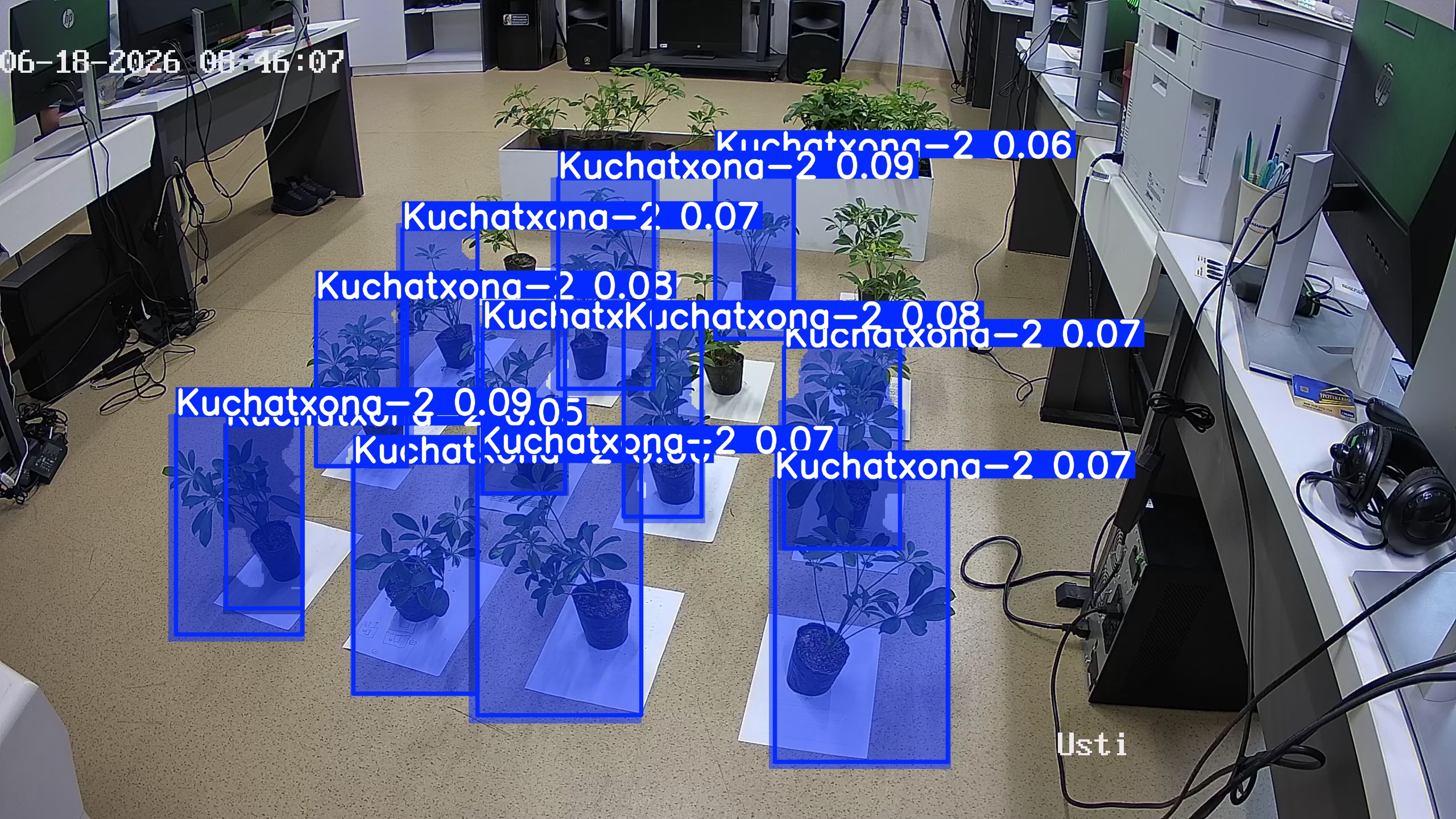 seedling_2026-06-18_08-46-36.jpg