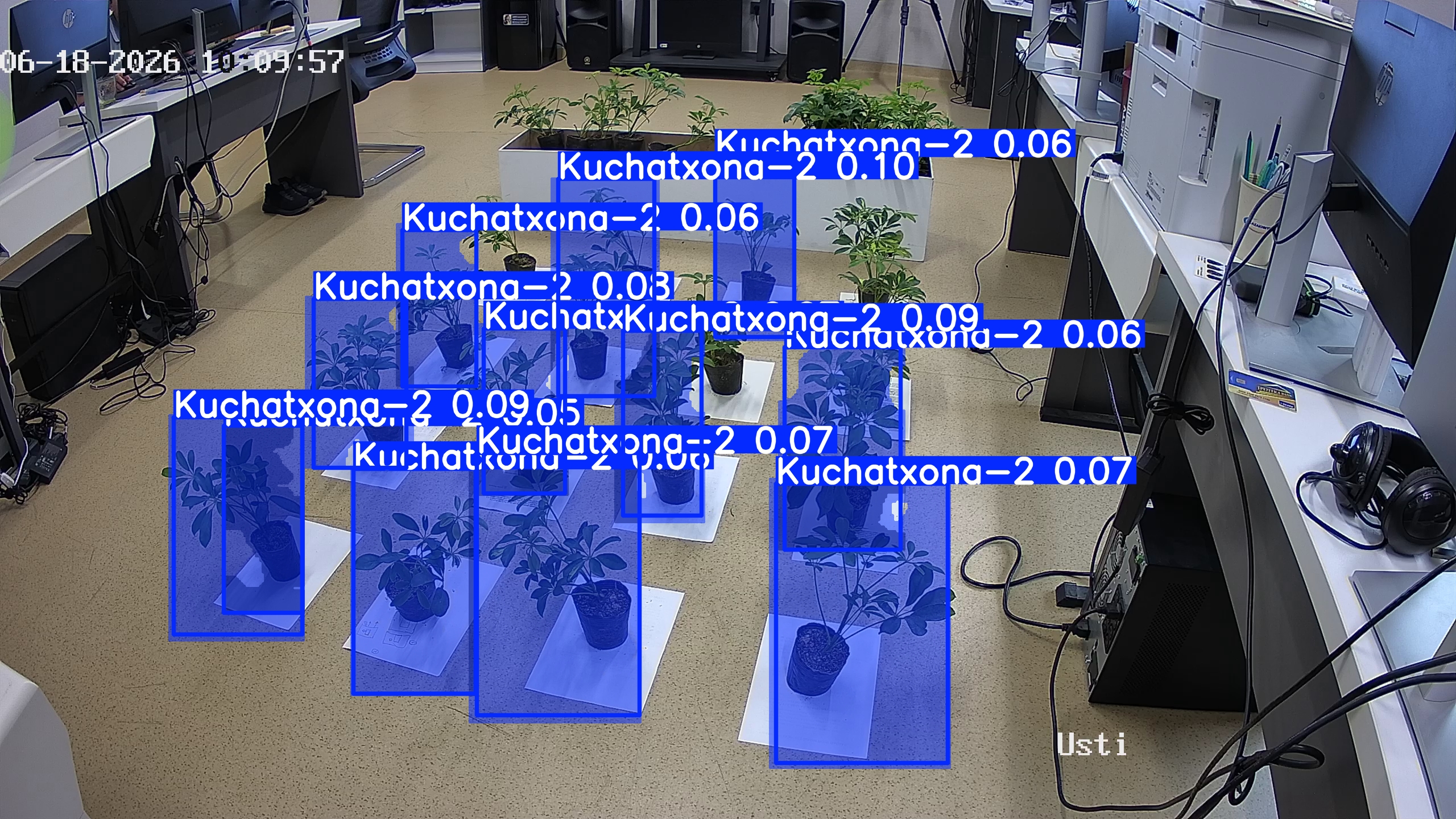 seedling_2026-06-18_10-10-12.jpg
