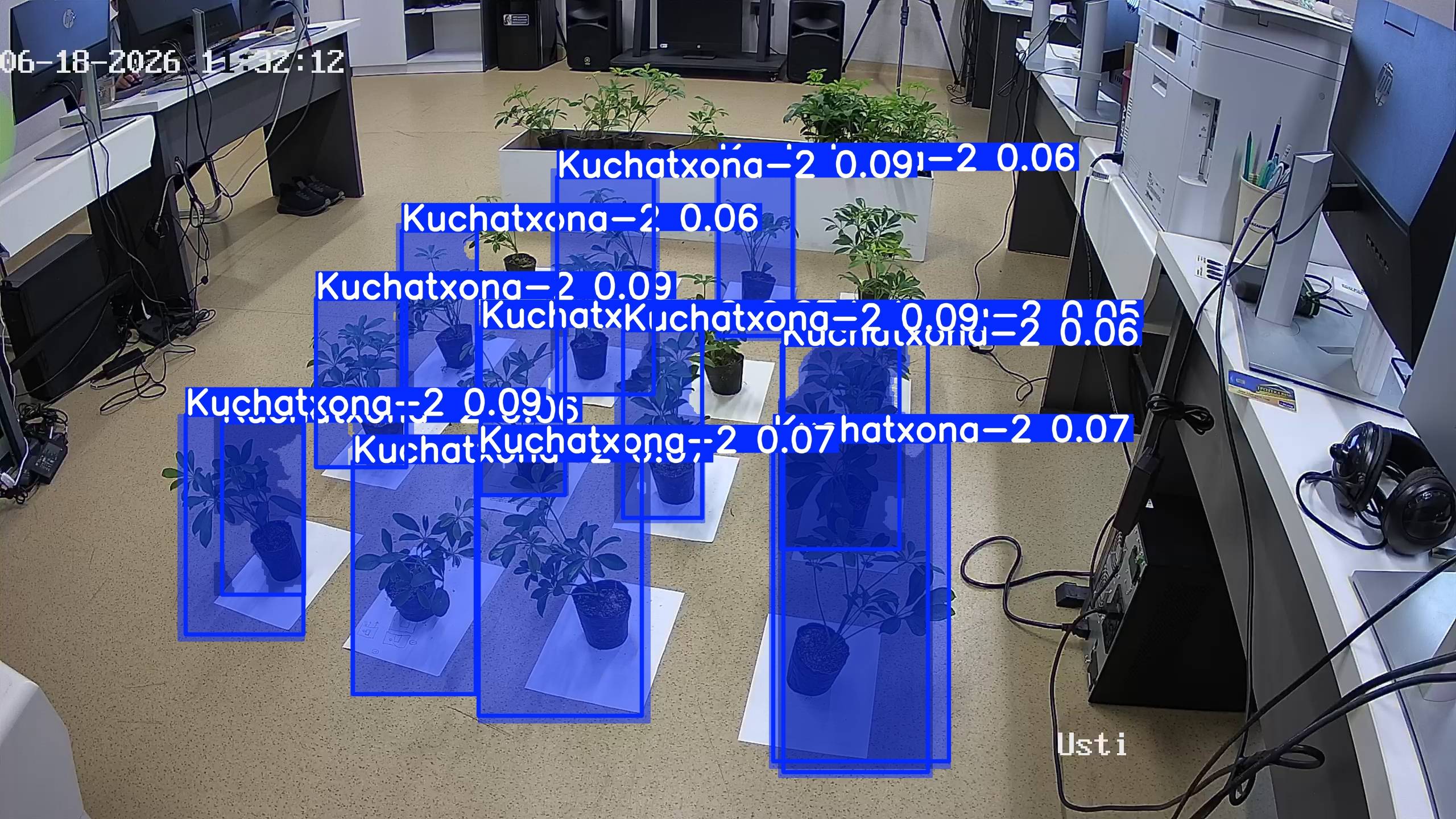 seedling_2026-06-18_11-32-44.jpg