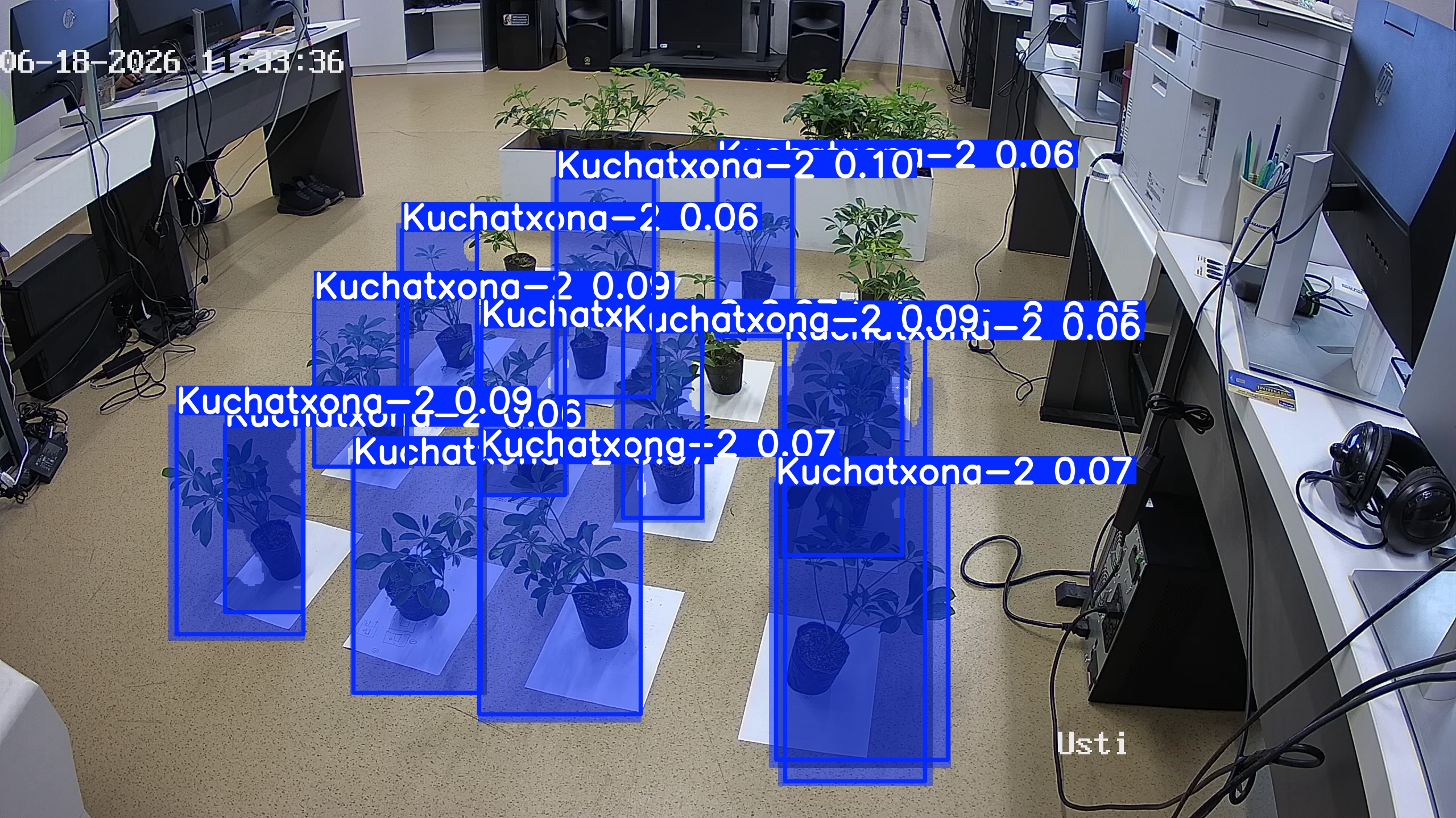 seedling_2026-06-18_11-33-49.jpg