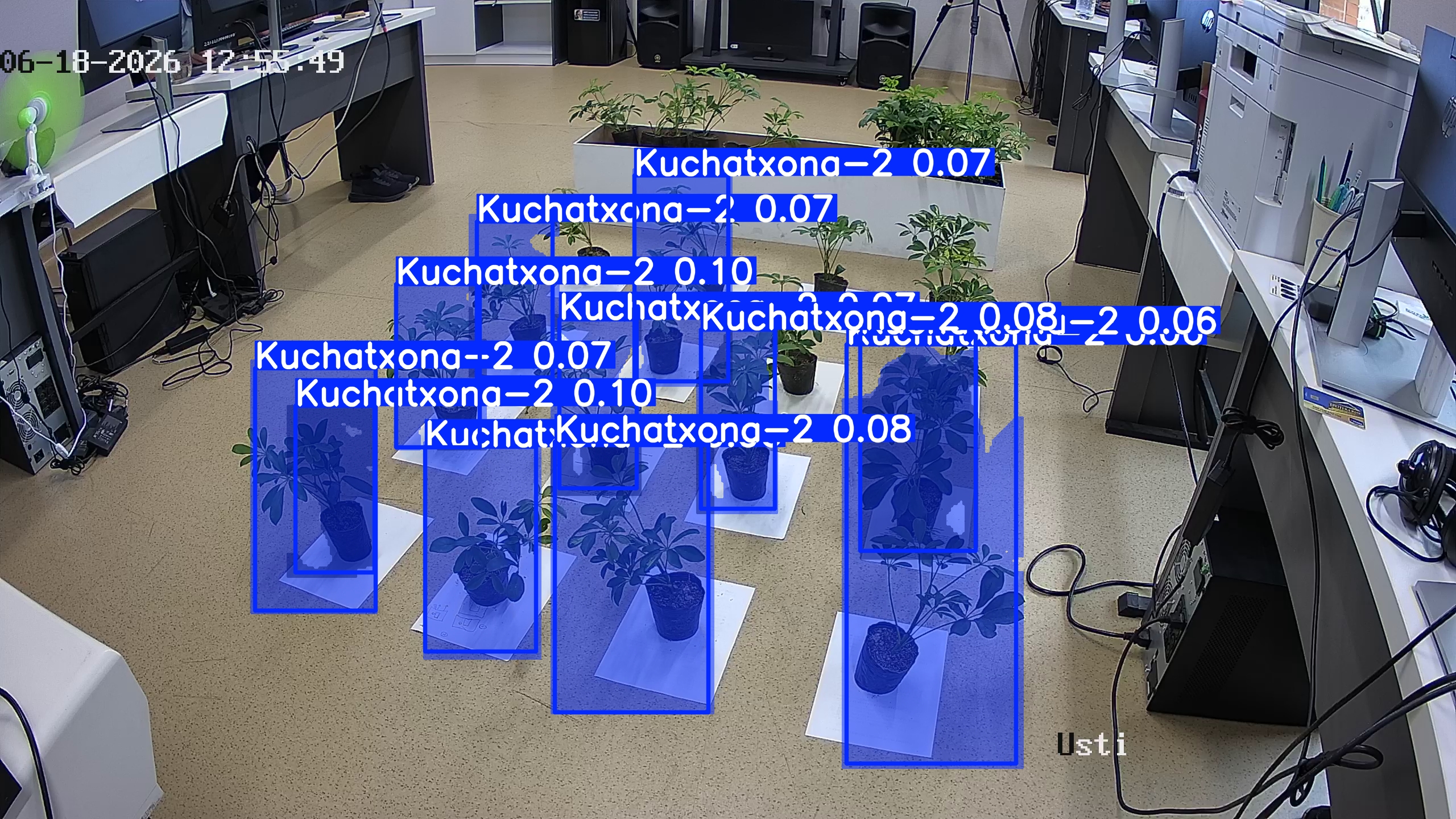 seedling_2026-06-18_12-56-05.jpg
