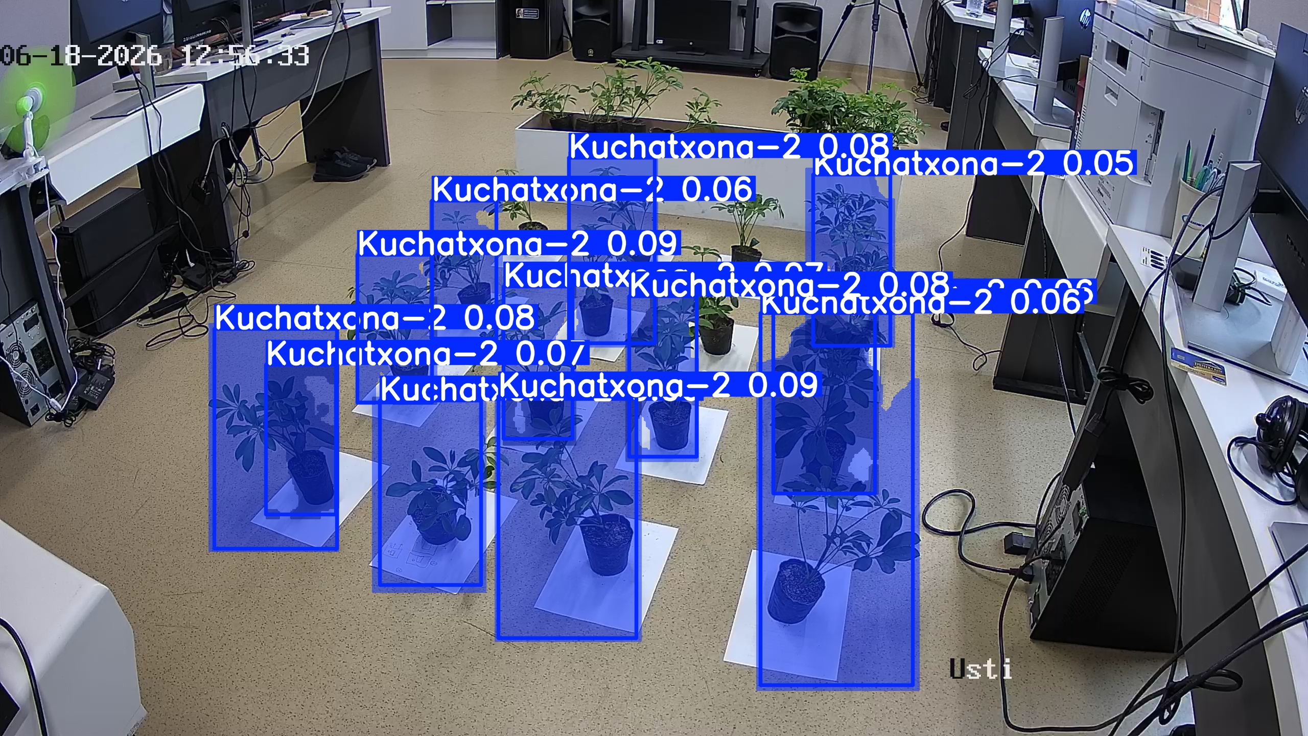 seedling_2026-06-18_12-57-11.jpg