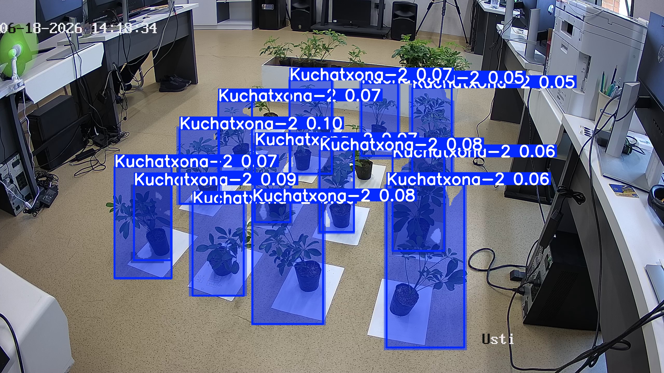seedling_2026-06-18_14-19-27.jpg