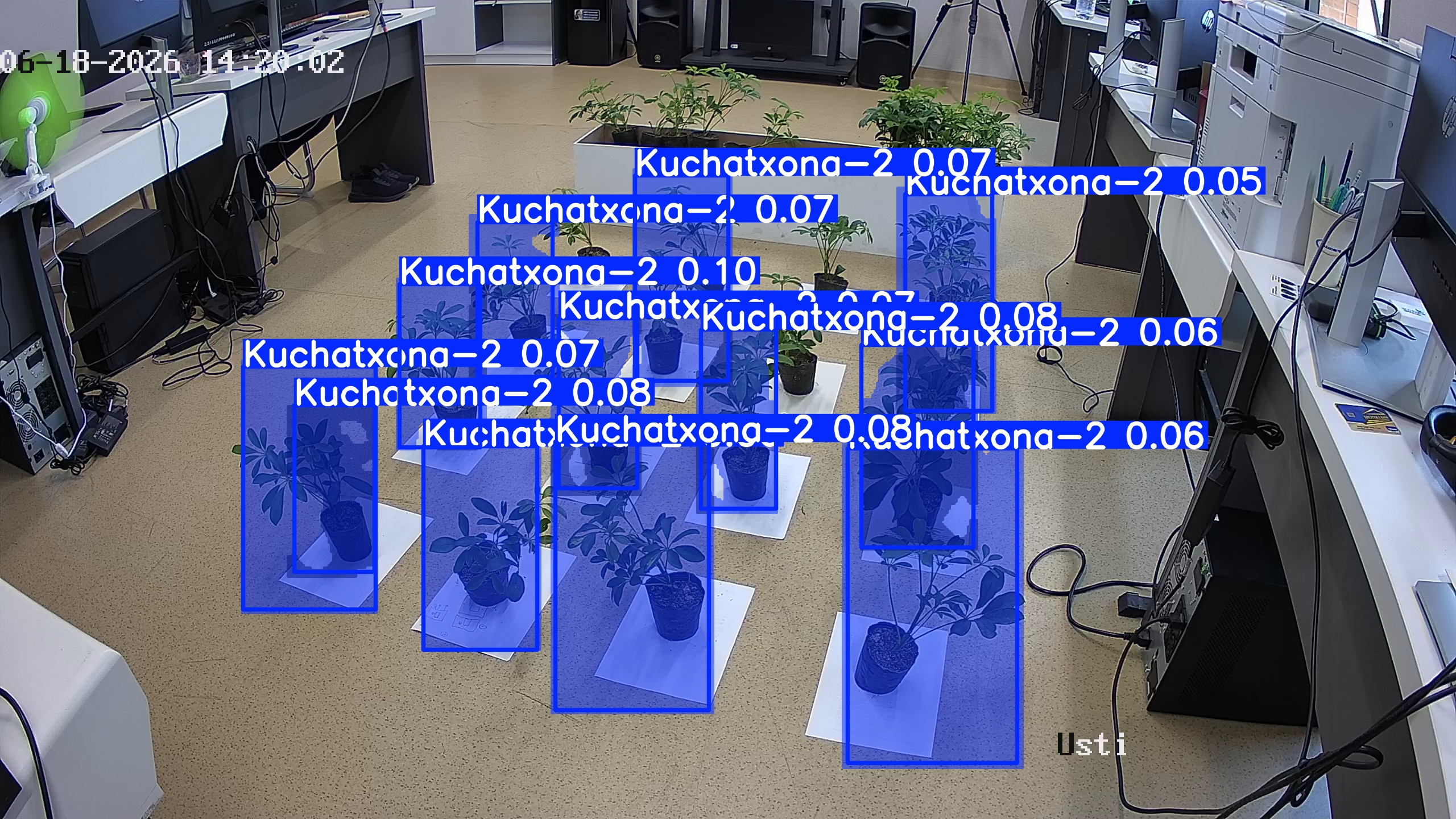 seedling_2026-06-18_14-20-32.jpg
