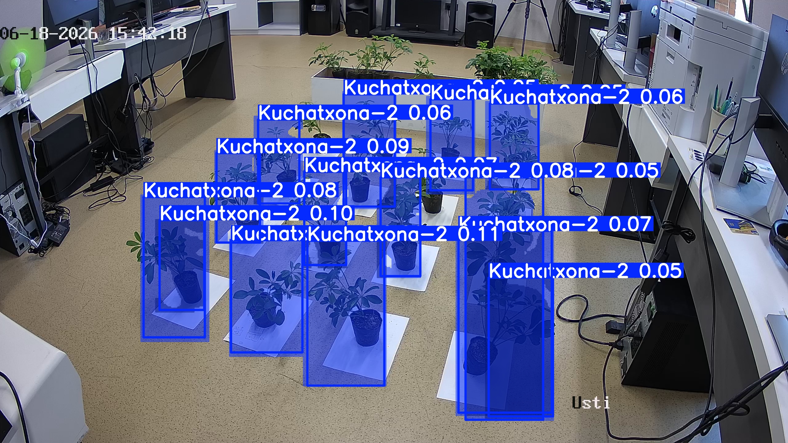 seedling_2026-06-18_15-42-49.jpg