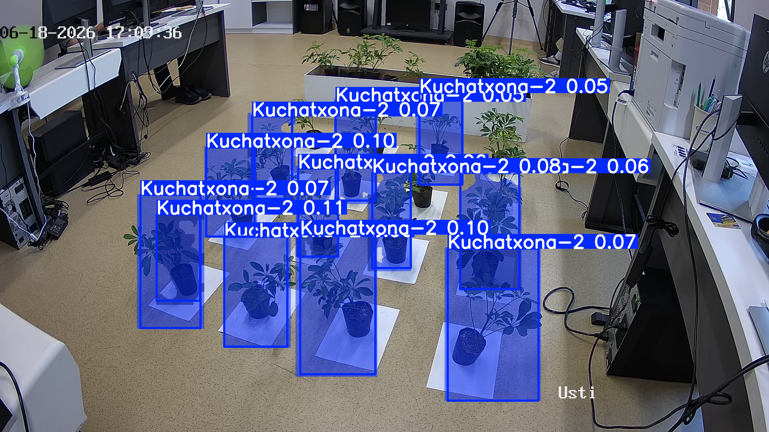 seedling_2026-06-18_17-09-43.jpg