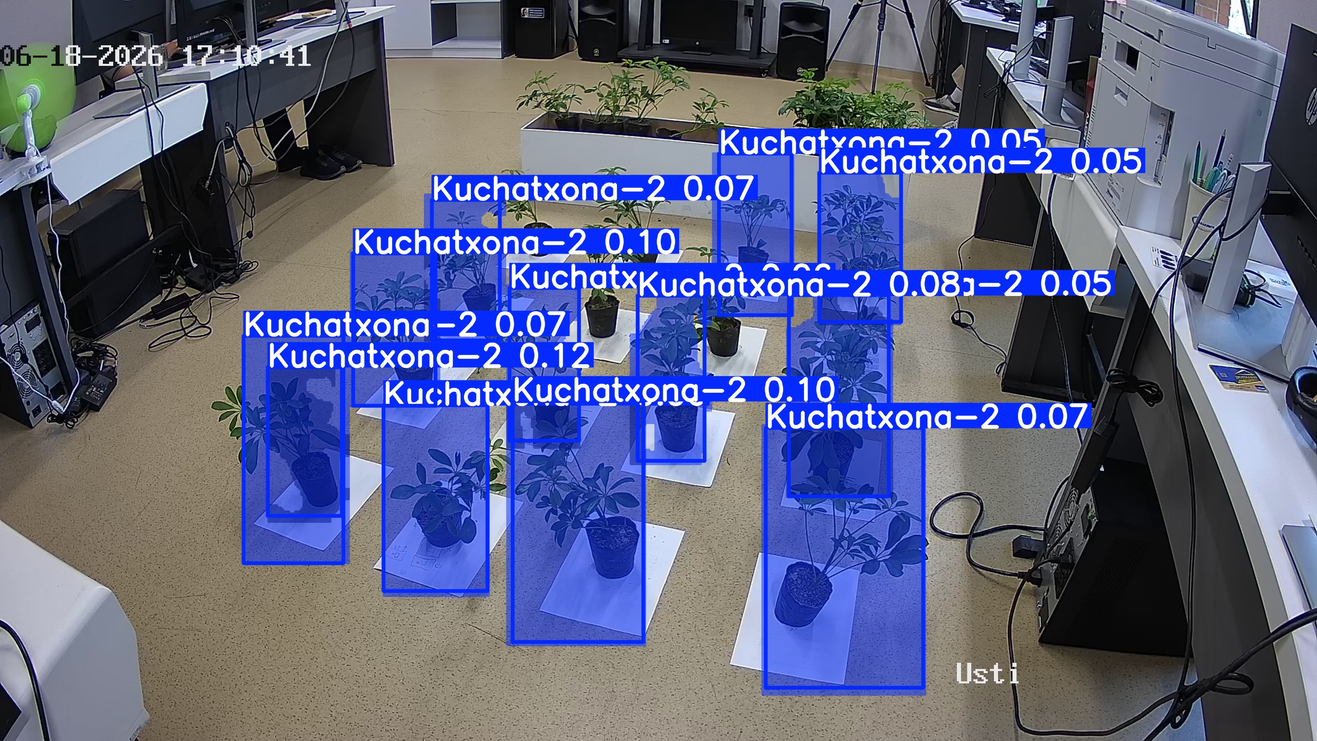 seedling_2026-06-18_17-10-49.jpg