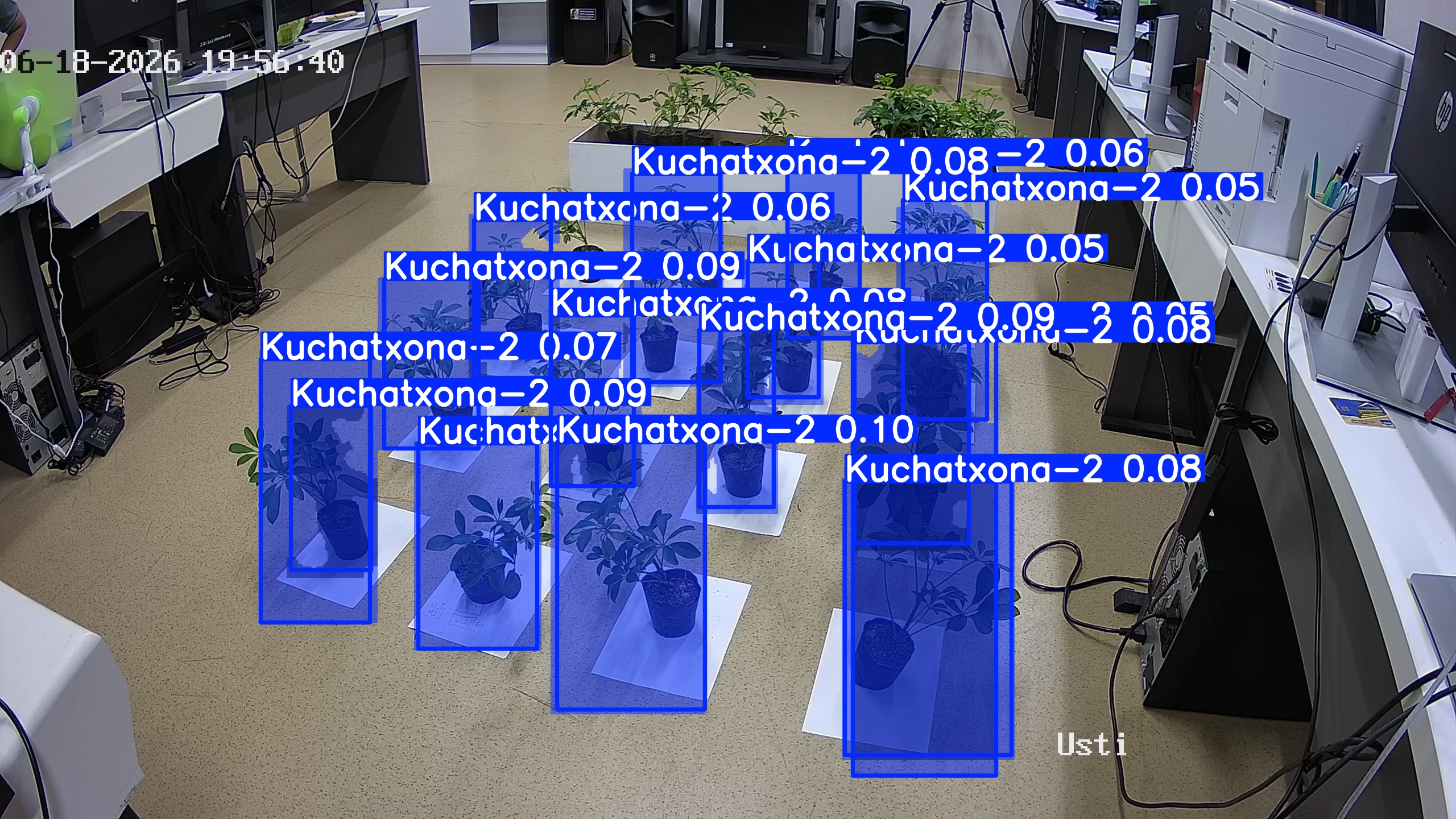 seedling_2026-06-18_19-57-31.jpg