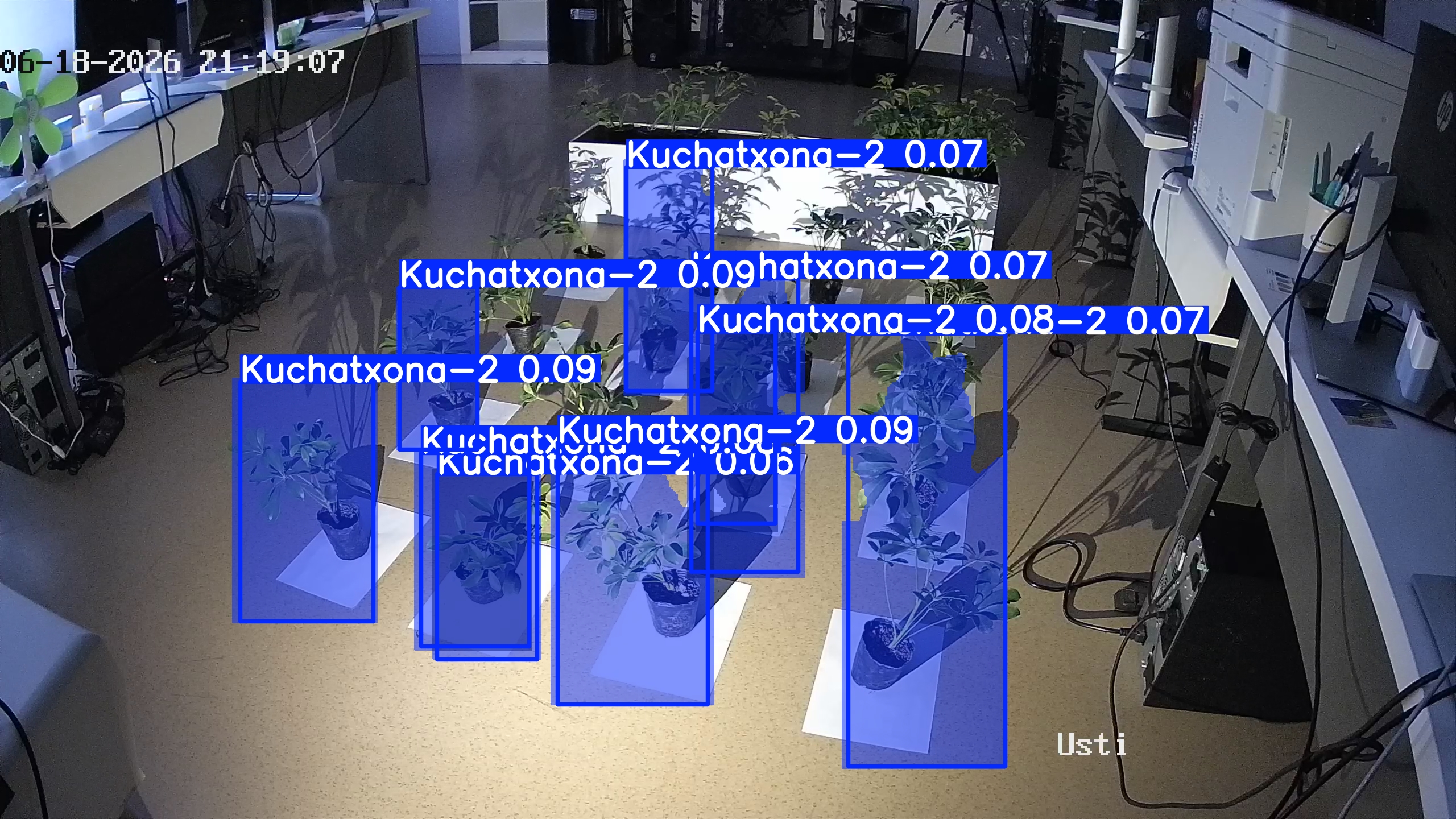 seedling_2026-06-18_21-19-51.jpg