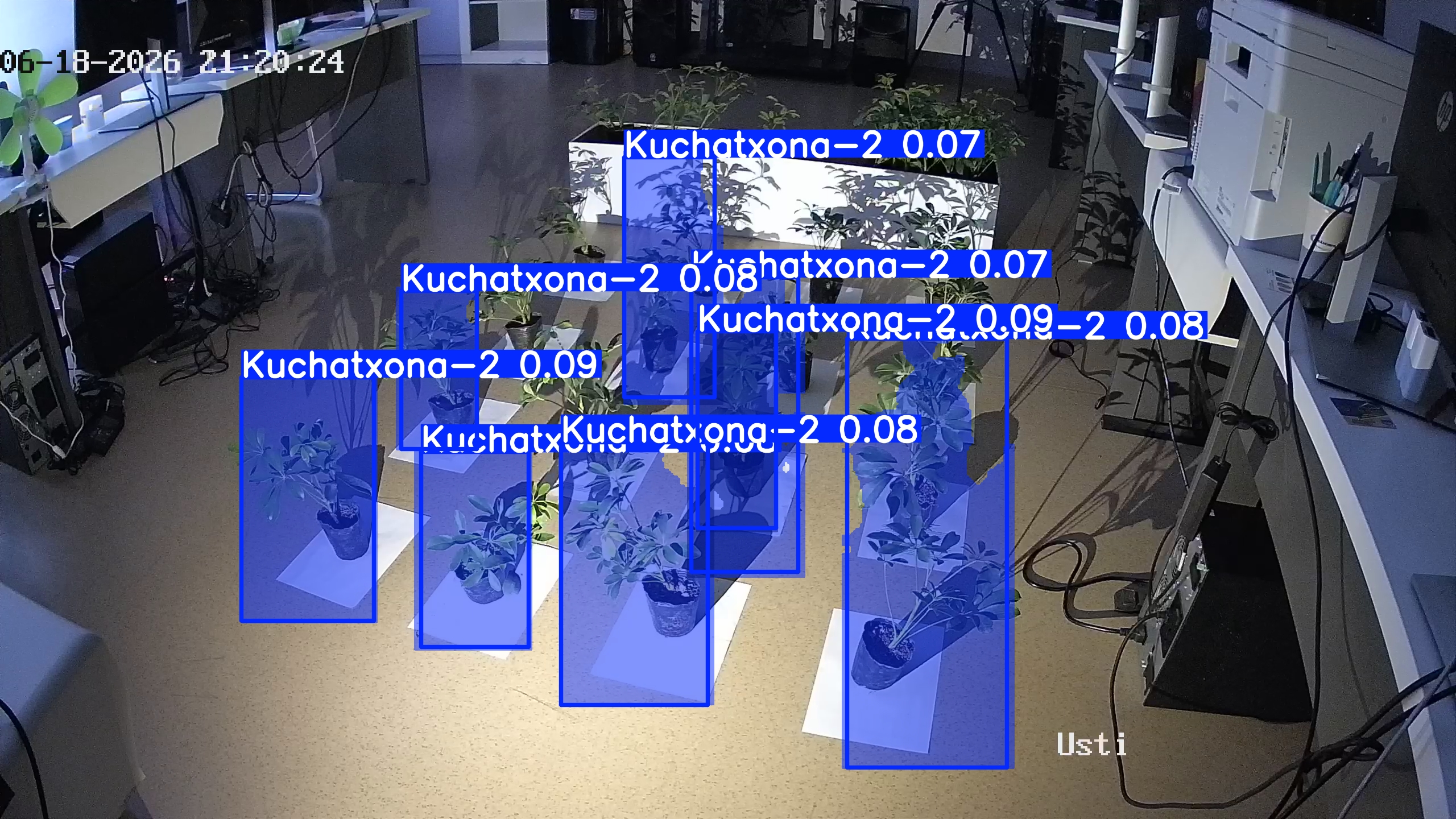 seedling_2026-06-18_21-20-52.jpg