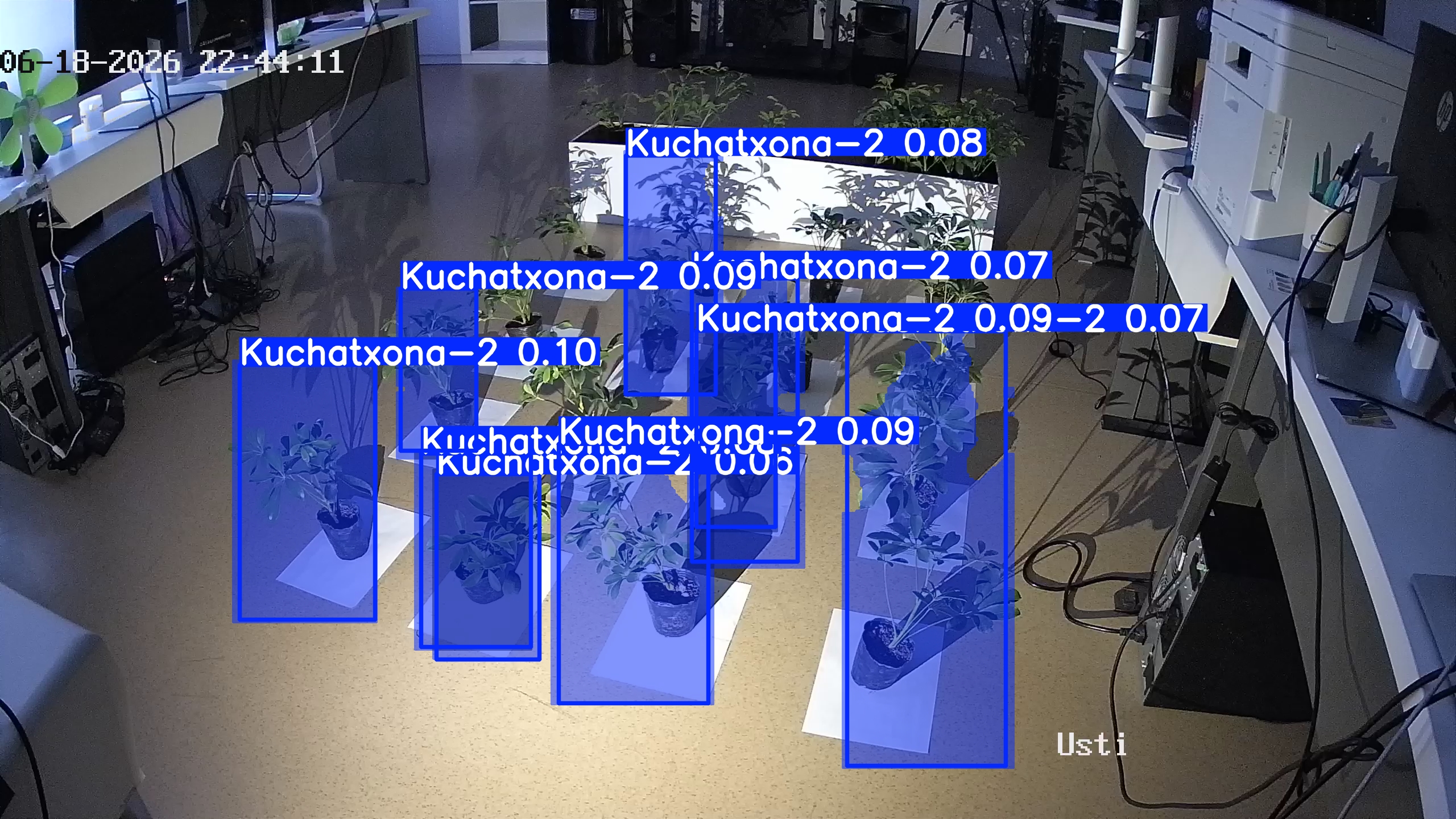 seedling_2026-06-18_22-44-25.jpg