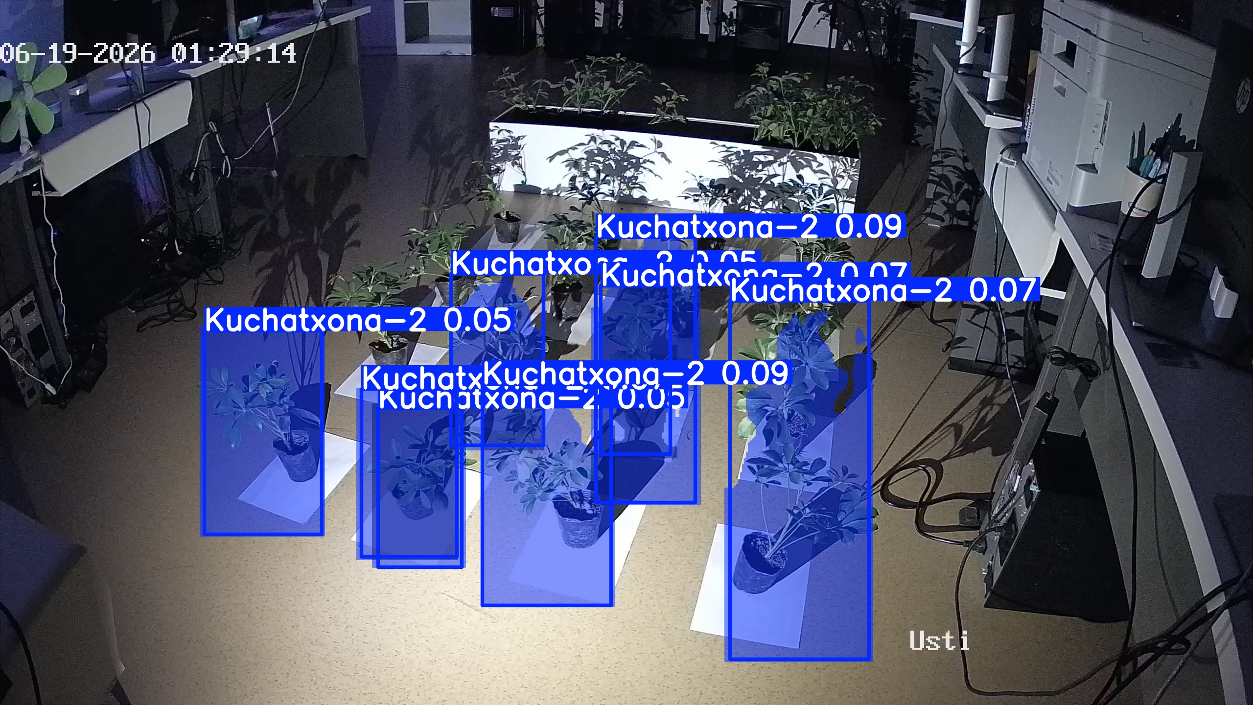 seedling_2026-06-19_01-29-56.jpg