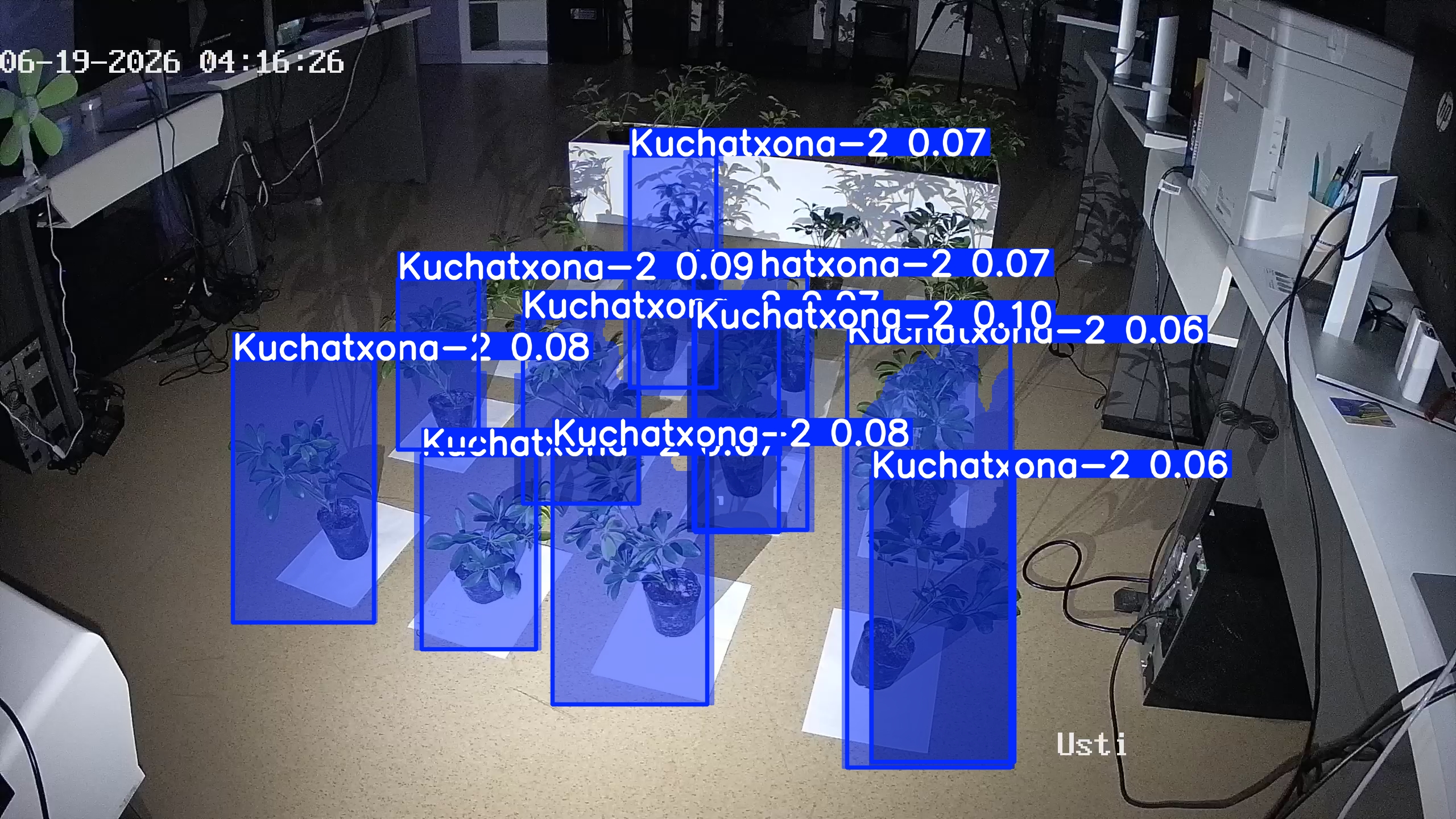 seedling_2026-06-19_04-16-41.jpg