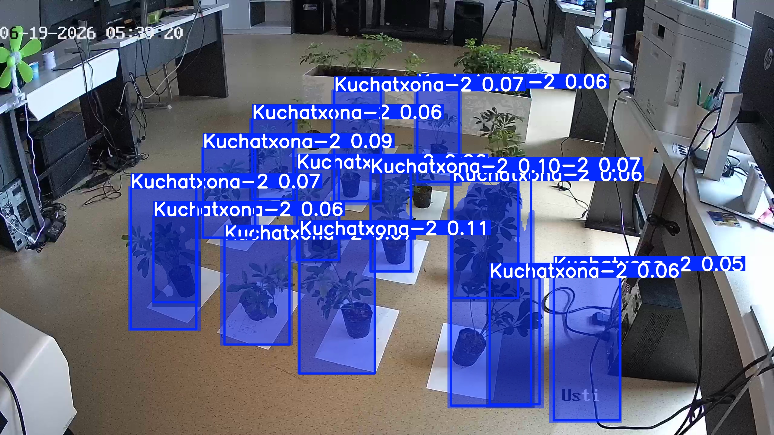 seedling_2026-06-19_05-40-02.jpg