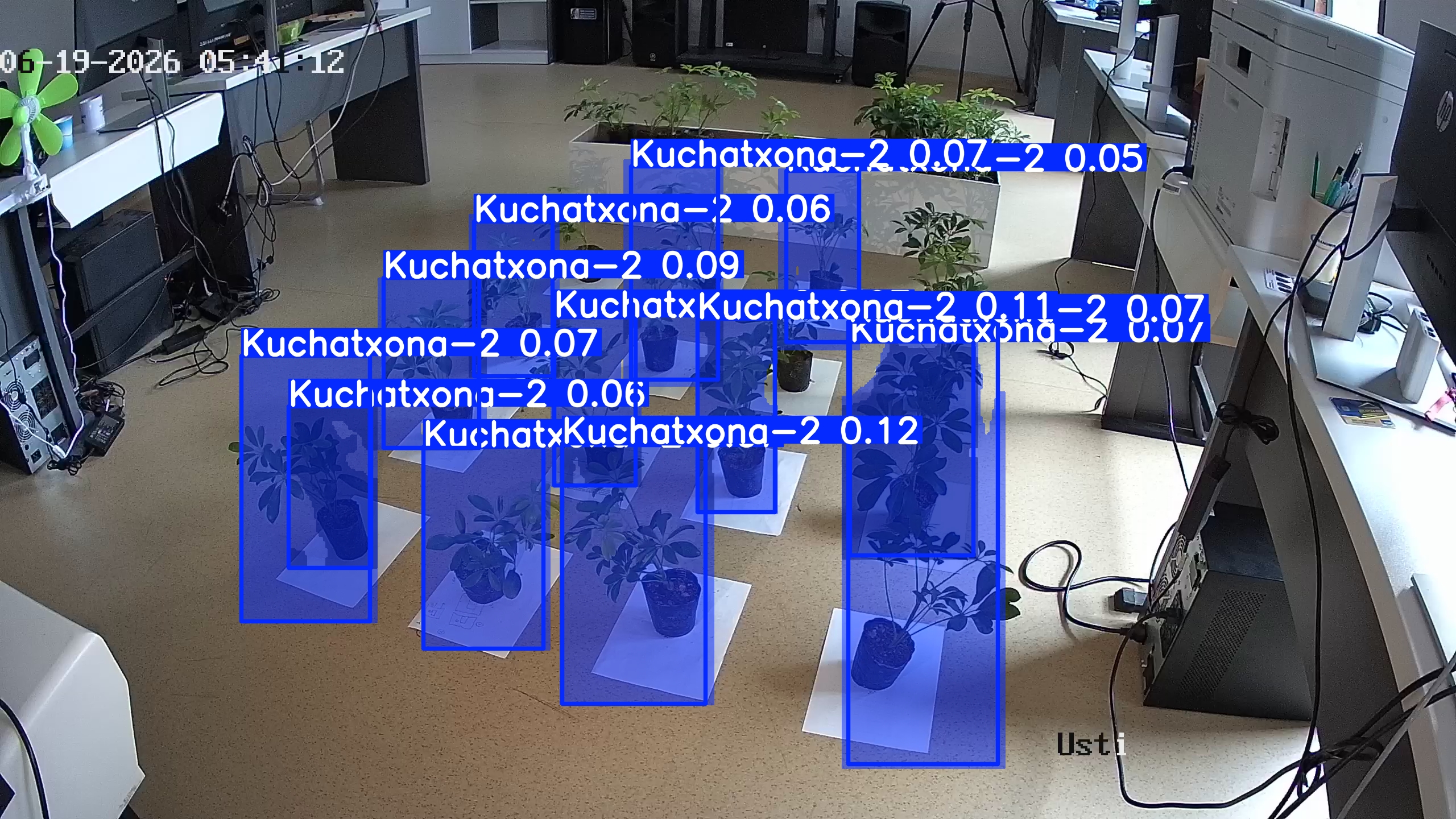 seedling_2026-06-19_05-41-25.jpg