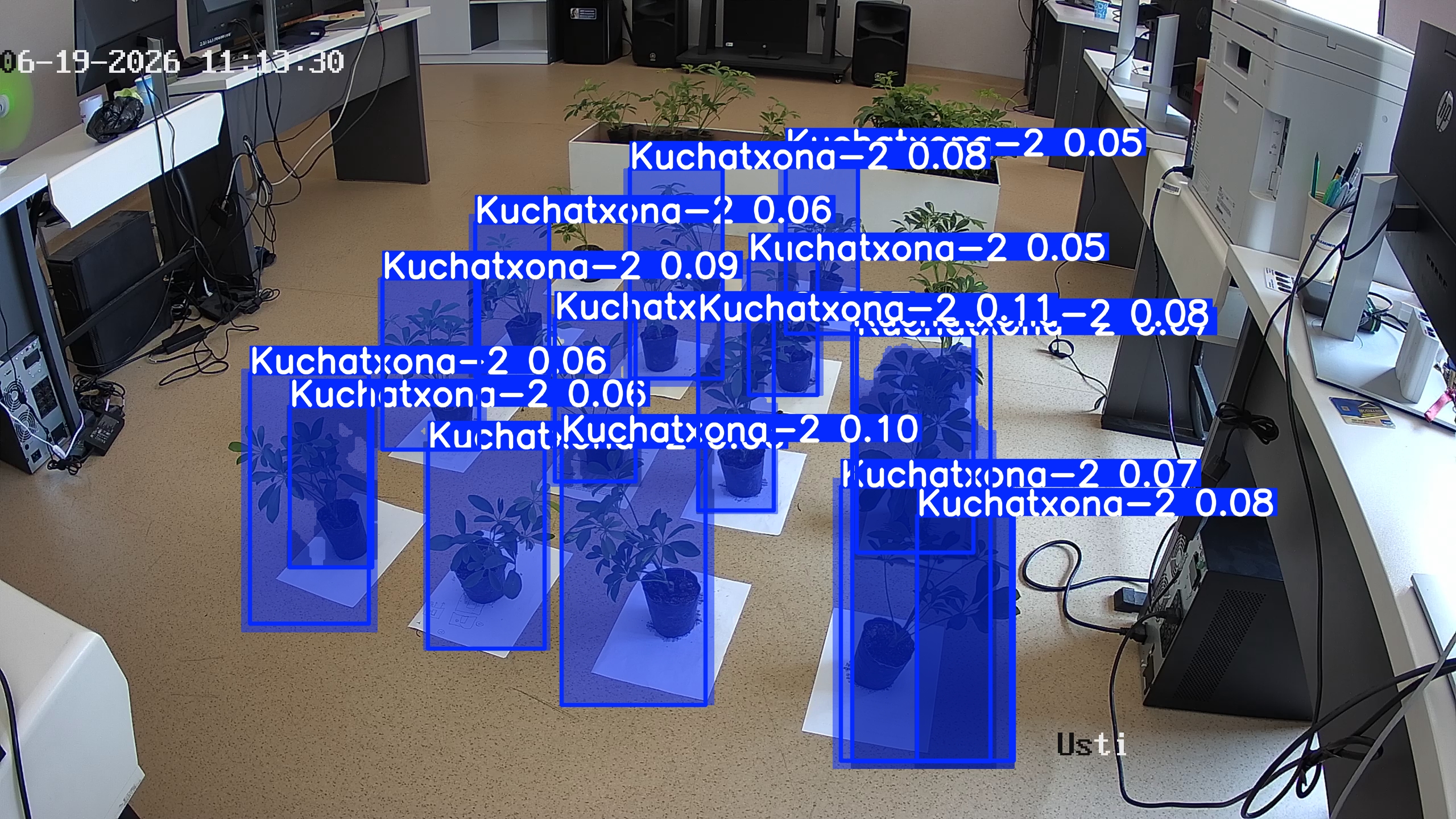seedling_2026-06-19_11-13-44.jpg