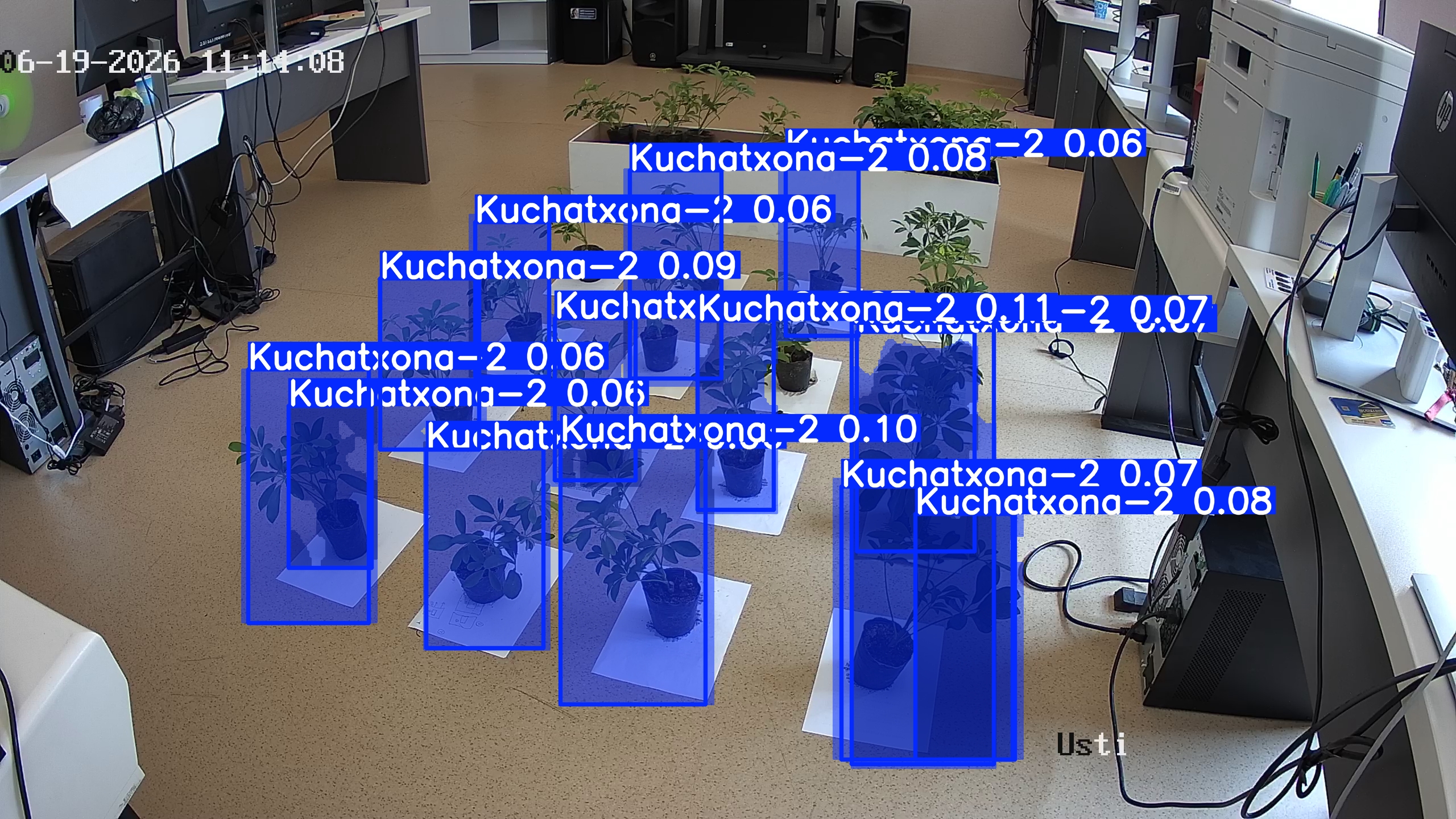 seedling_2026-06-19_11-15-00.jpg