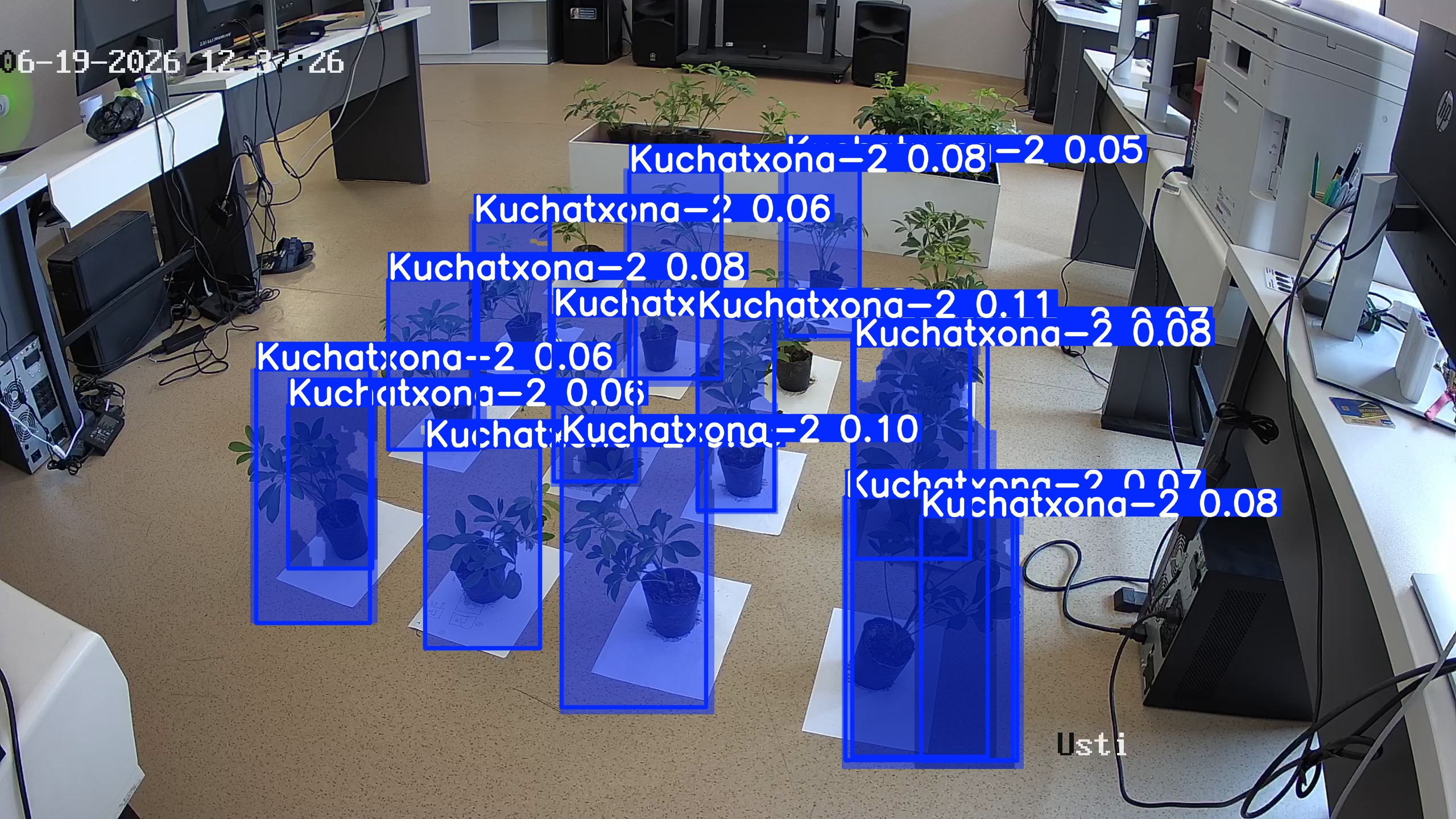 seedling_2026-06-19_12-38-21.jpg
