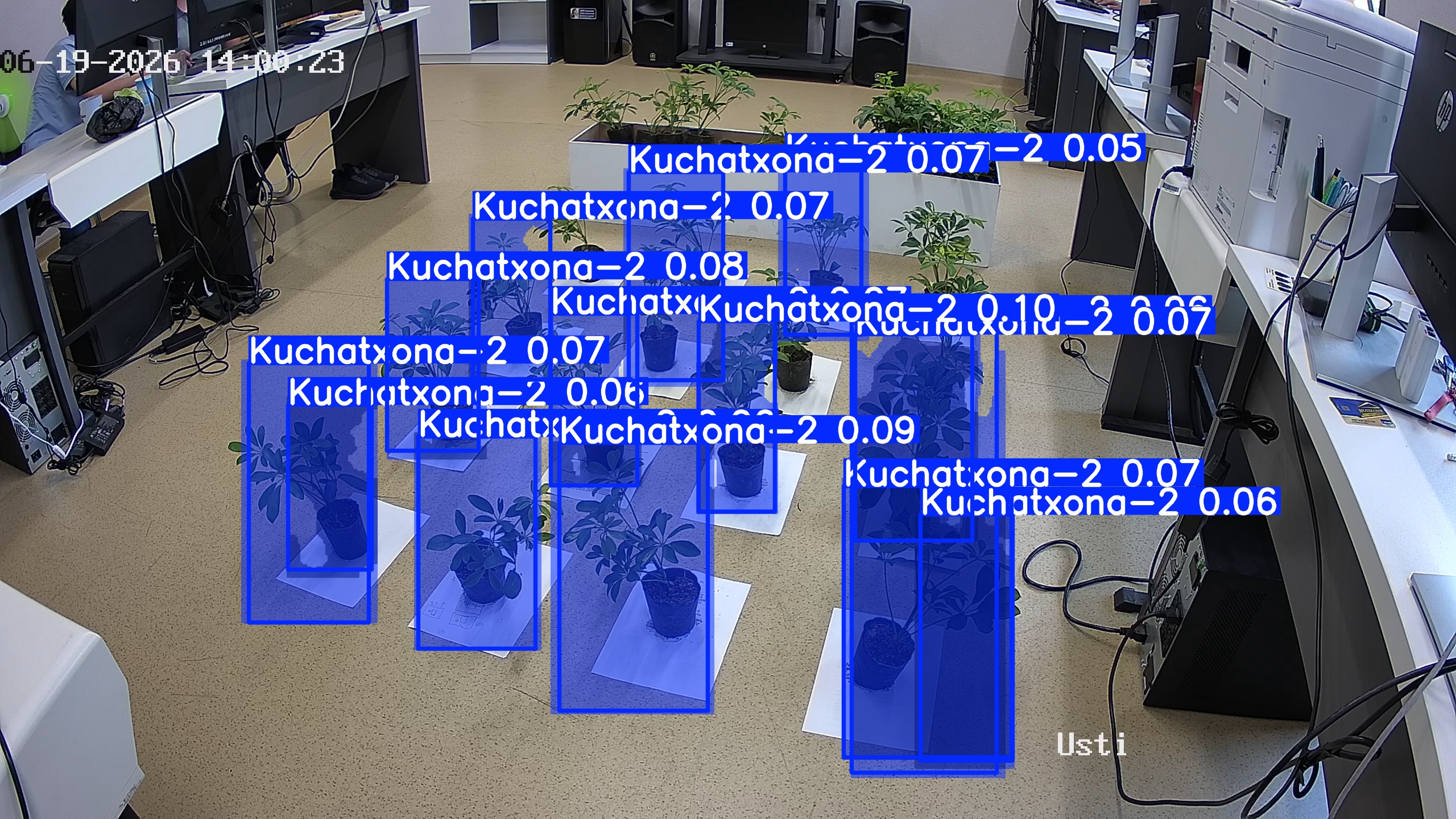 seedling_2026-06-19_14-00-36.jpg