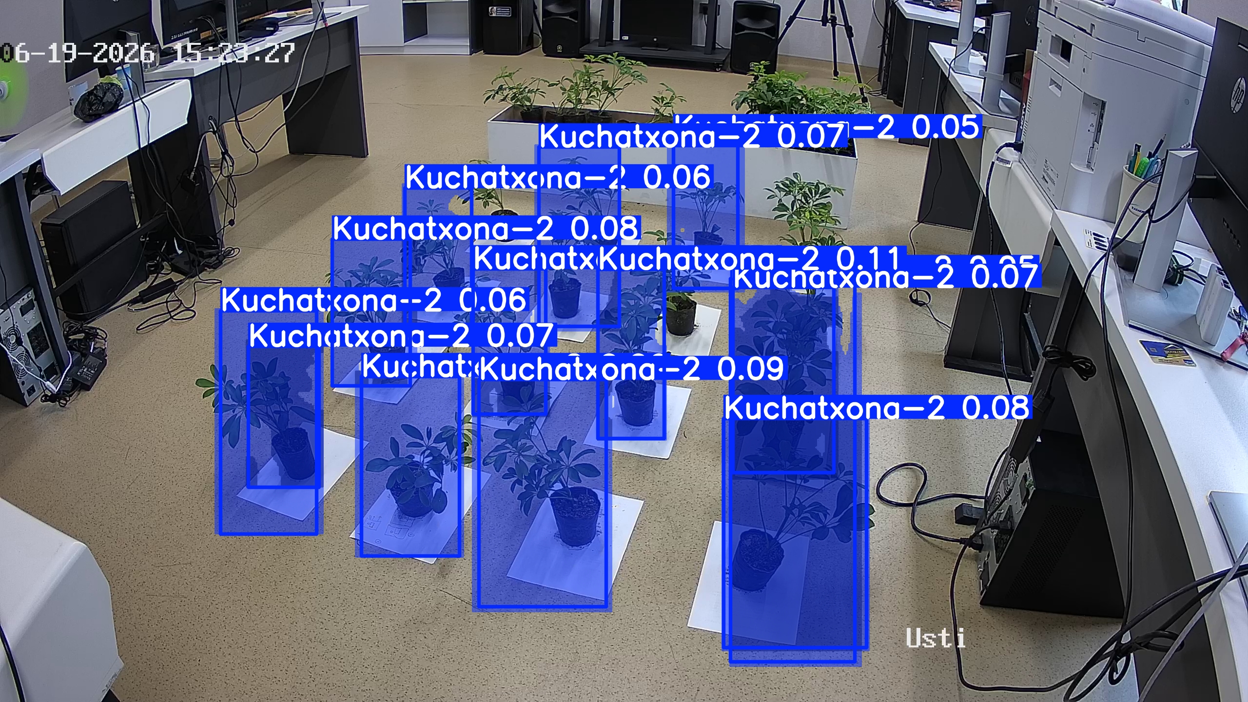 seedling_2026-06-19_15-23-58.jpg