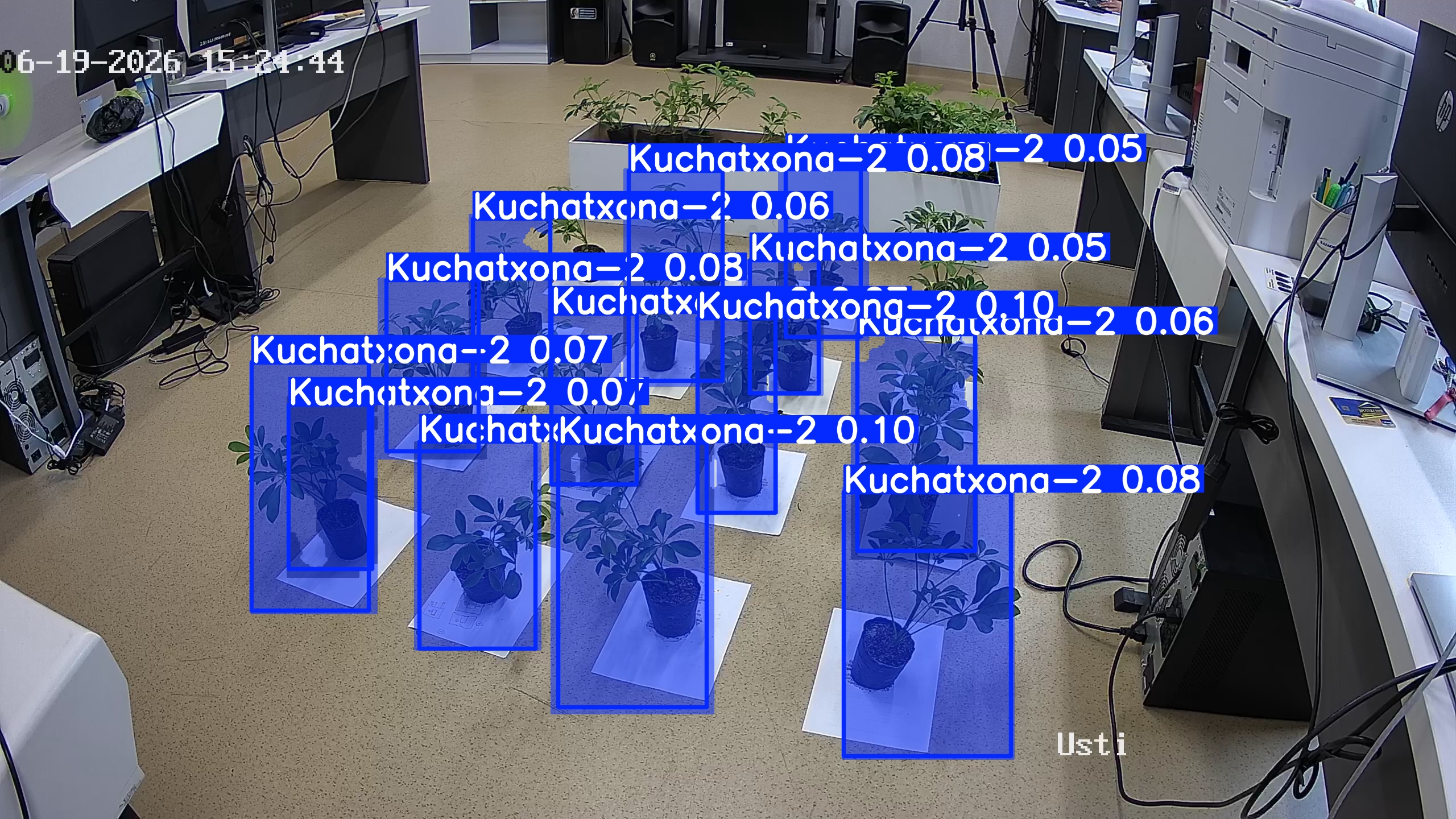 seedling_2026-06-19_15-25-04.jpg