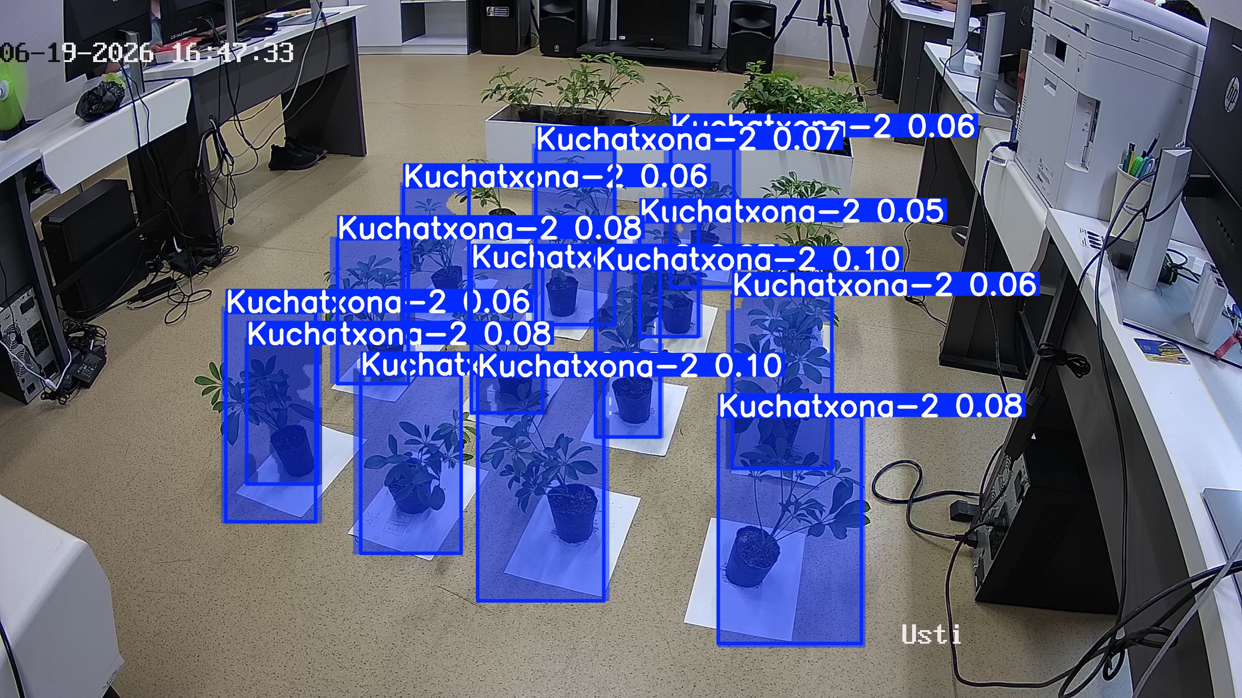 seedling_2026-06-19_16-48-25.jpg
