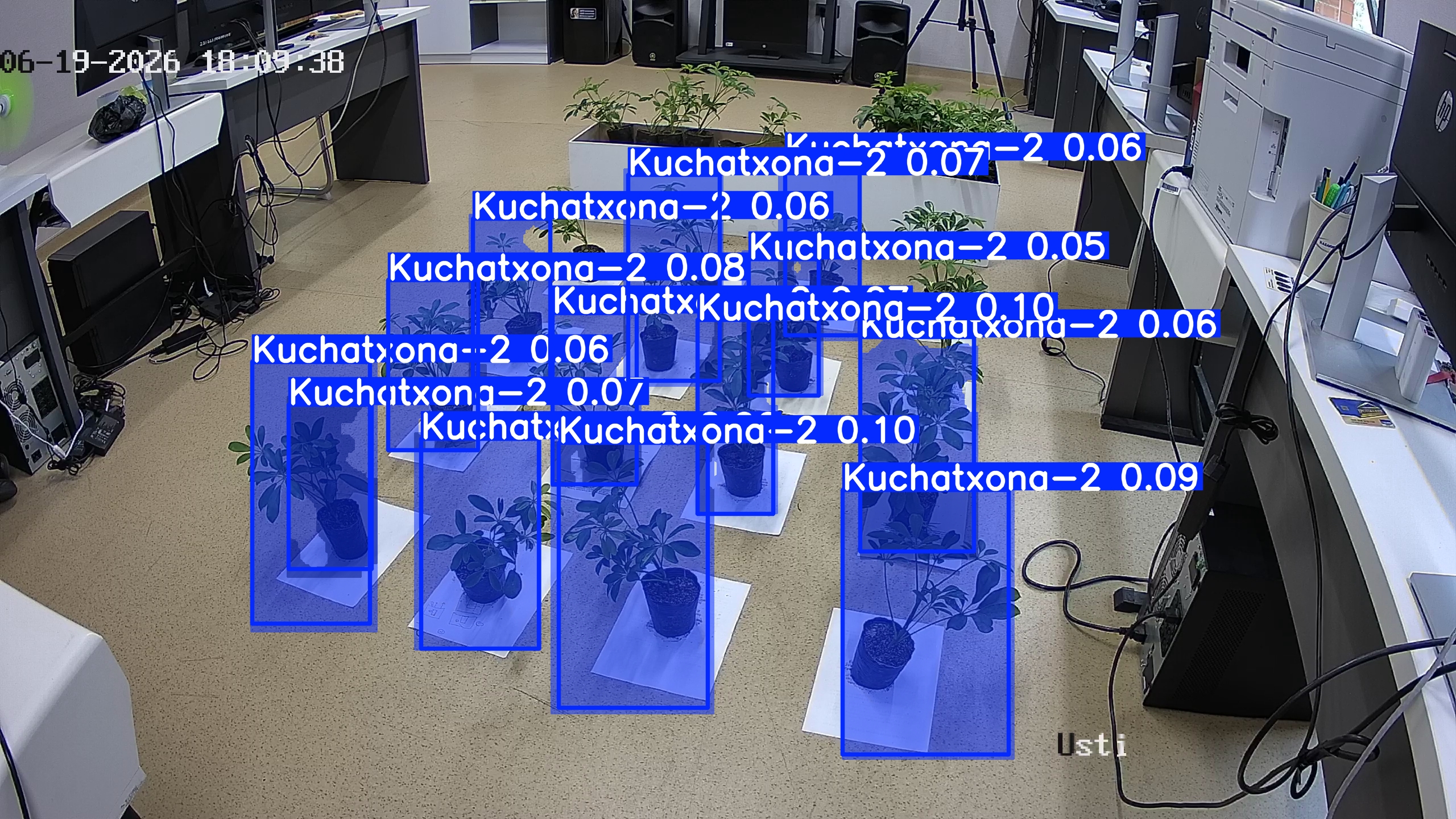 seedling_2026-06-19_18-10-41.jpg