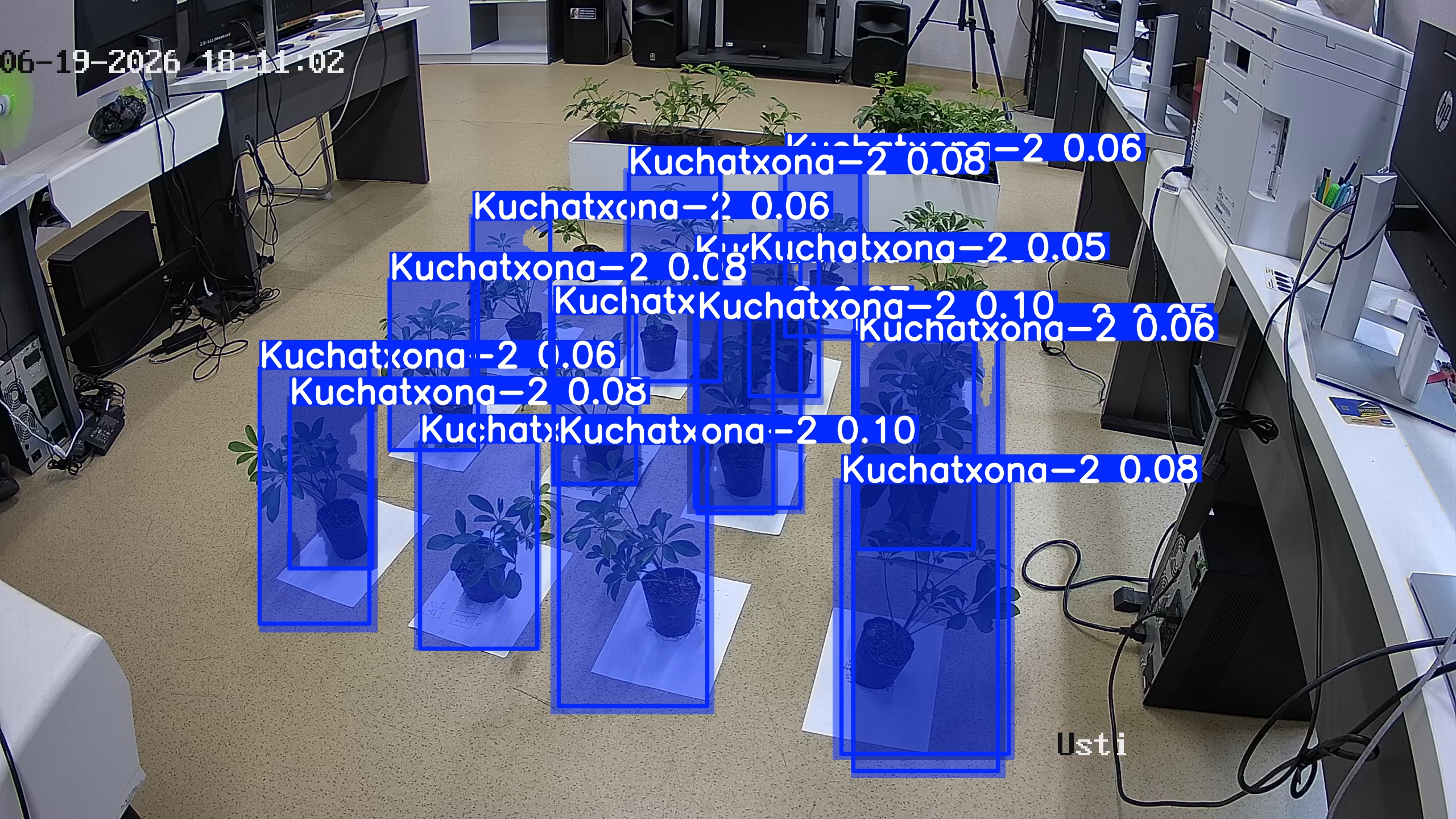 seedling_2026-06-19_18-11-46.jpg