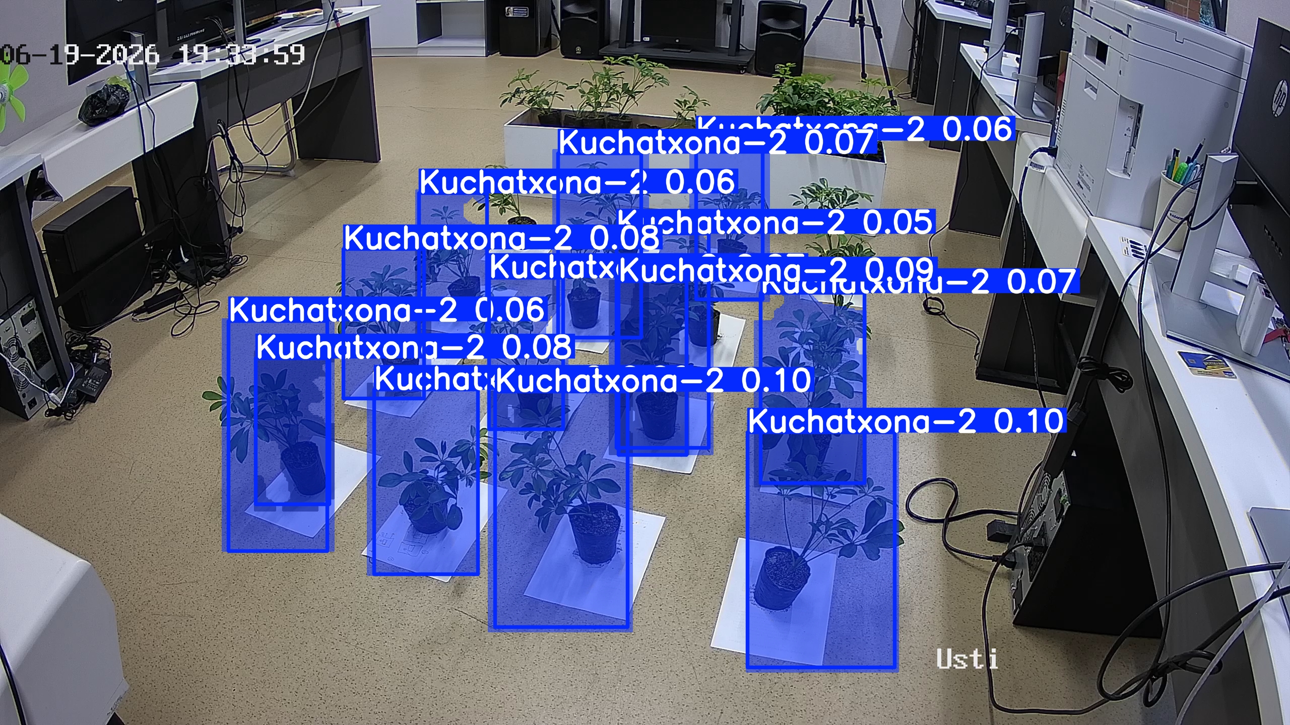 seedling_2026-06-19_19-34-13.jpg