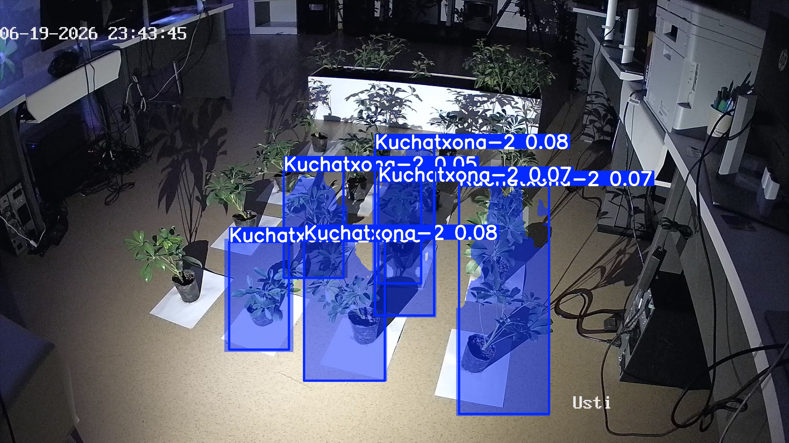 seedling_2026-06-19_23-44-29.jpg