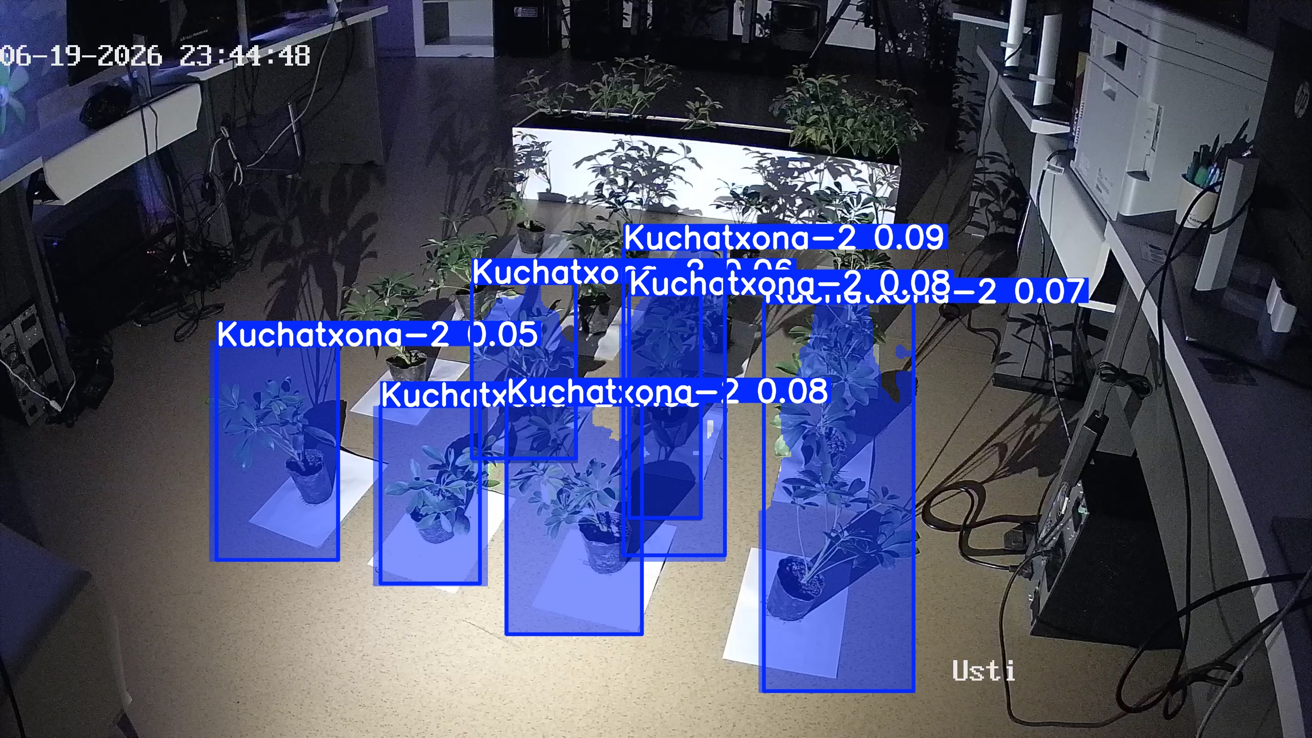 seedling_2026-06-19_23-45-25.jpg