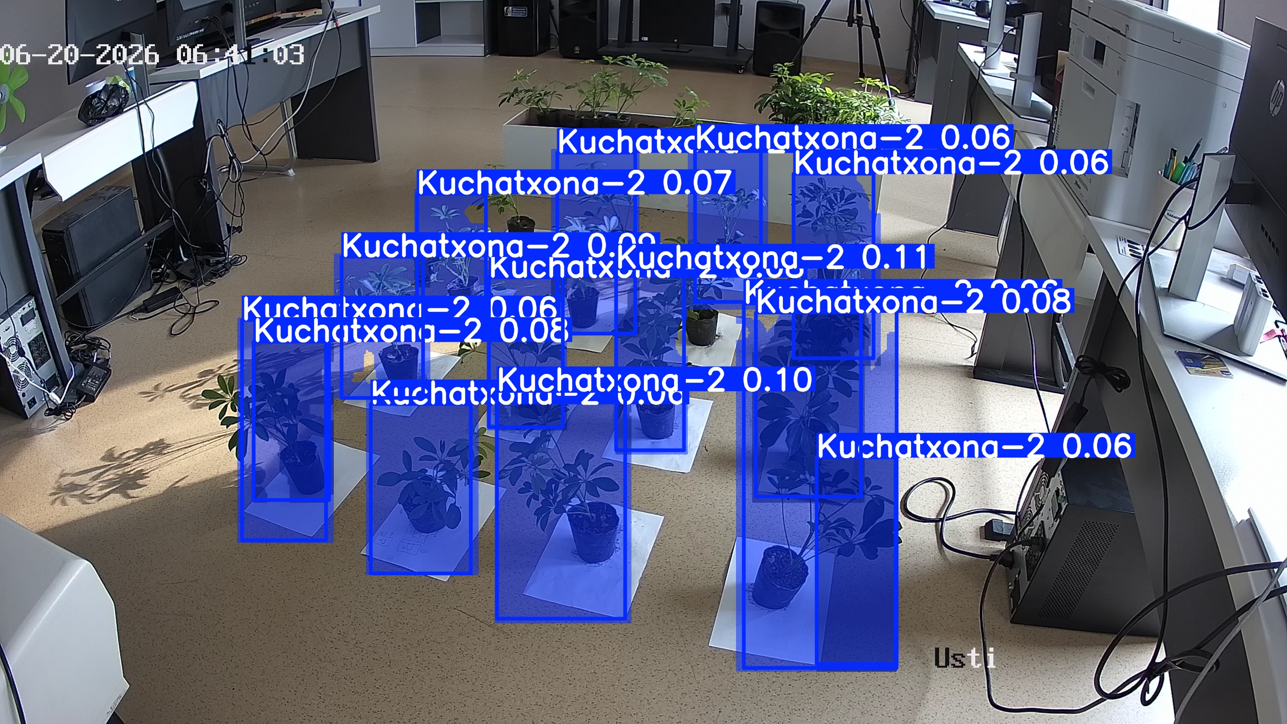 seedling_2026-06-20_06-41-18.jpg