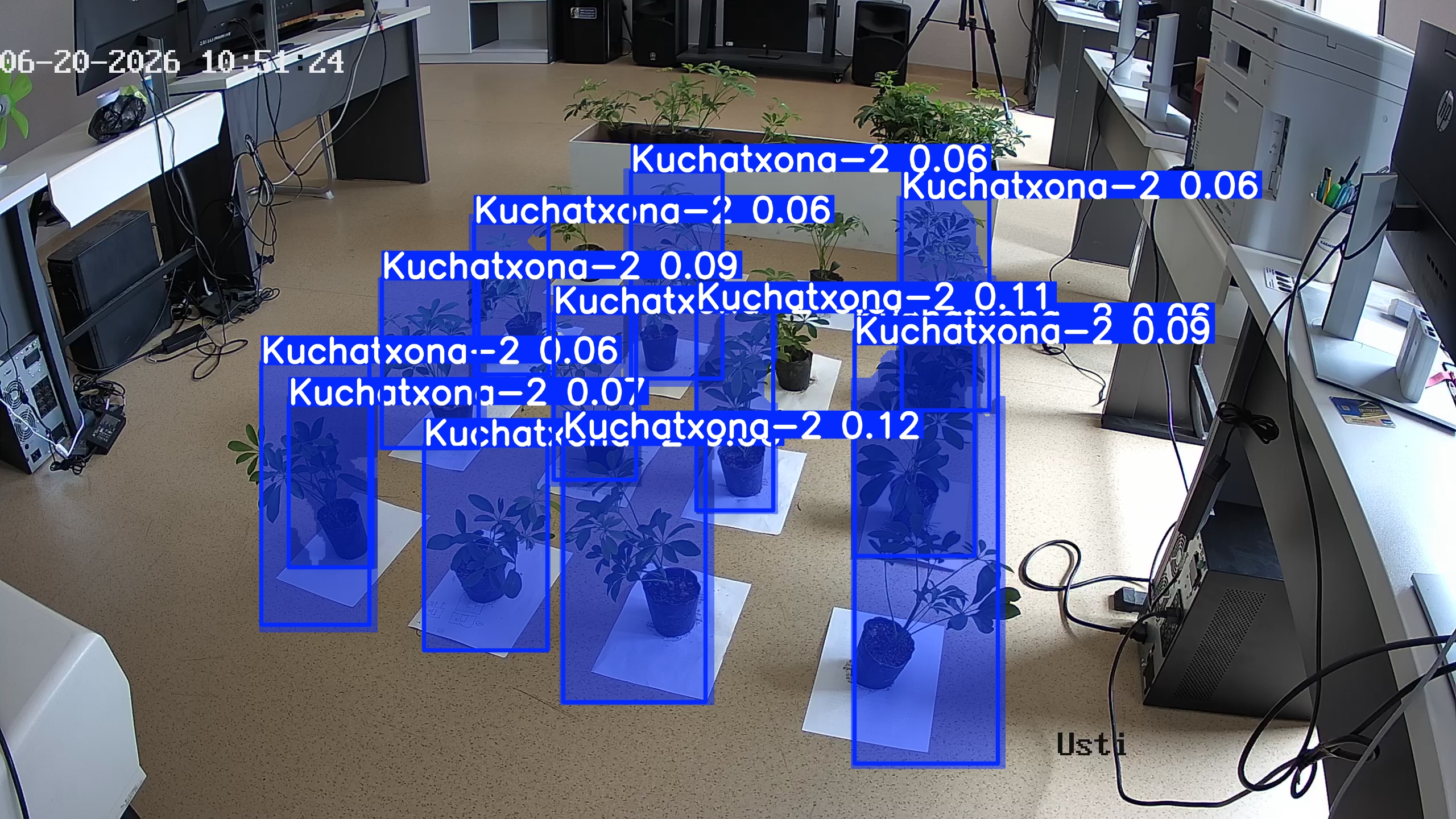 seedling_2026-06-20_10-51-41.jpg