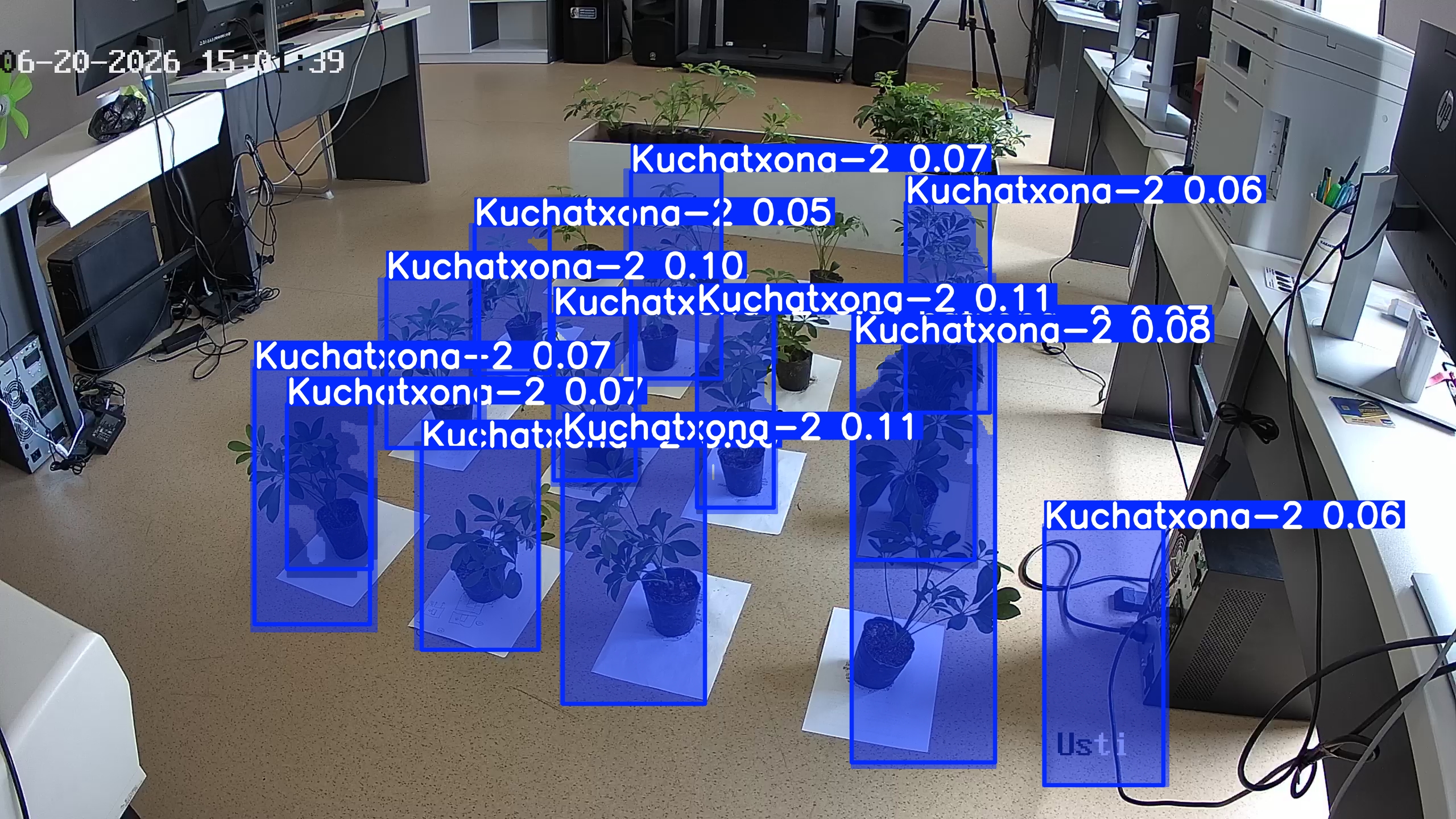 seedling_2026-06-20_15-01-55.jpg