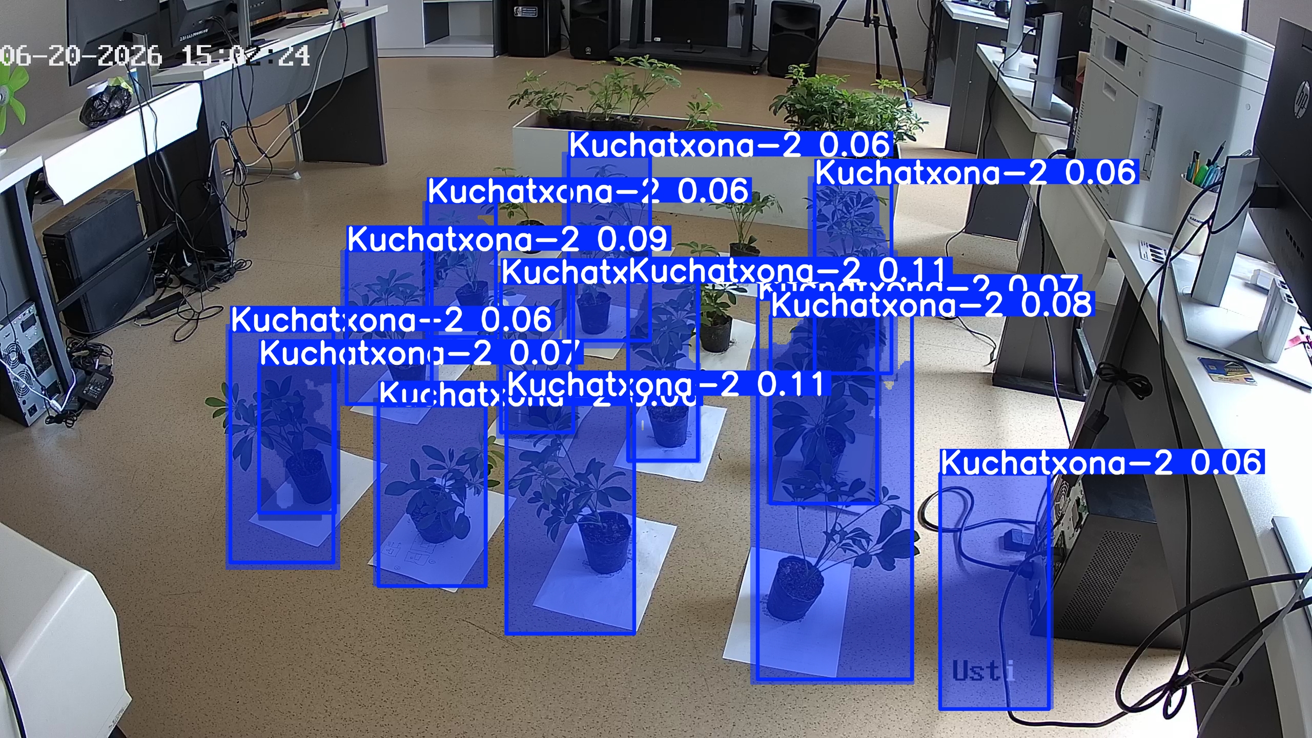 seedling_2026-06-20_15-03-23.jpg