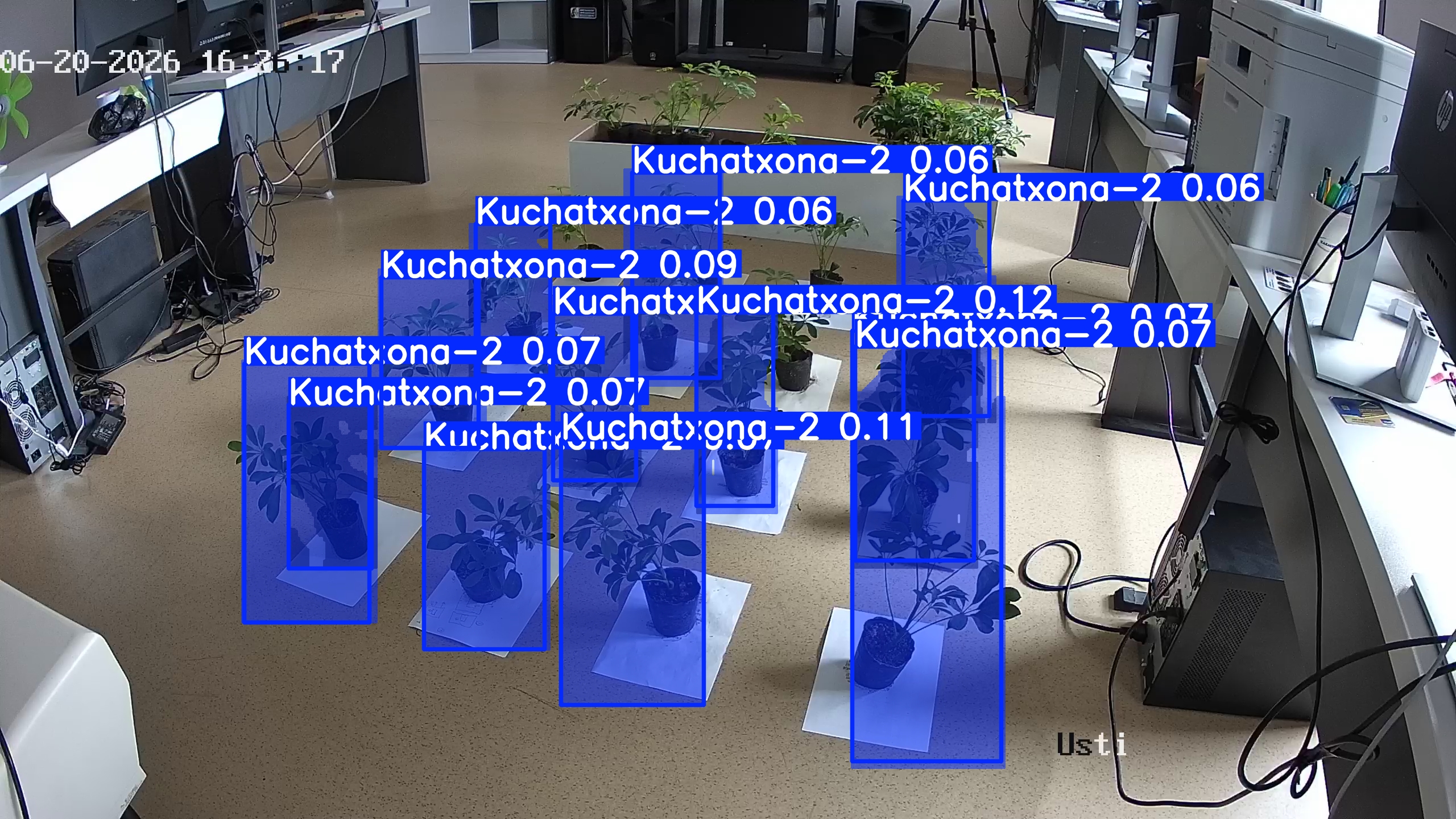 seedling_2026-06-20_16-26-44.jpg