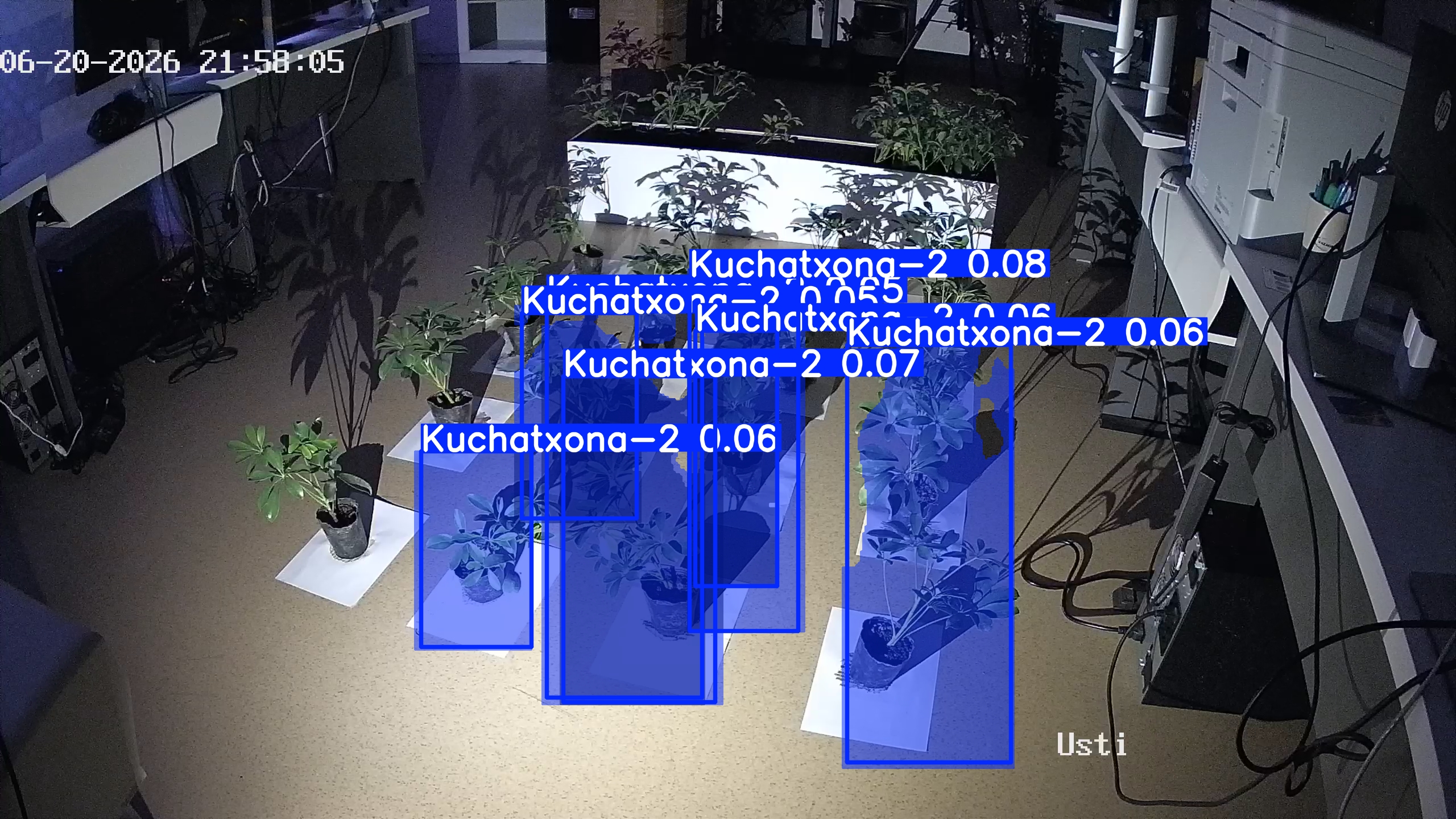 seedling_2026-06-20_21-58-42.jpg