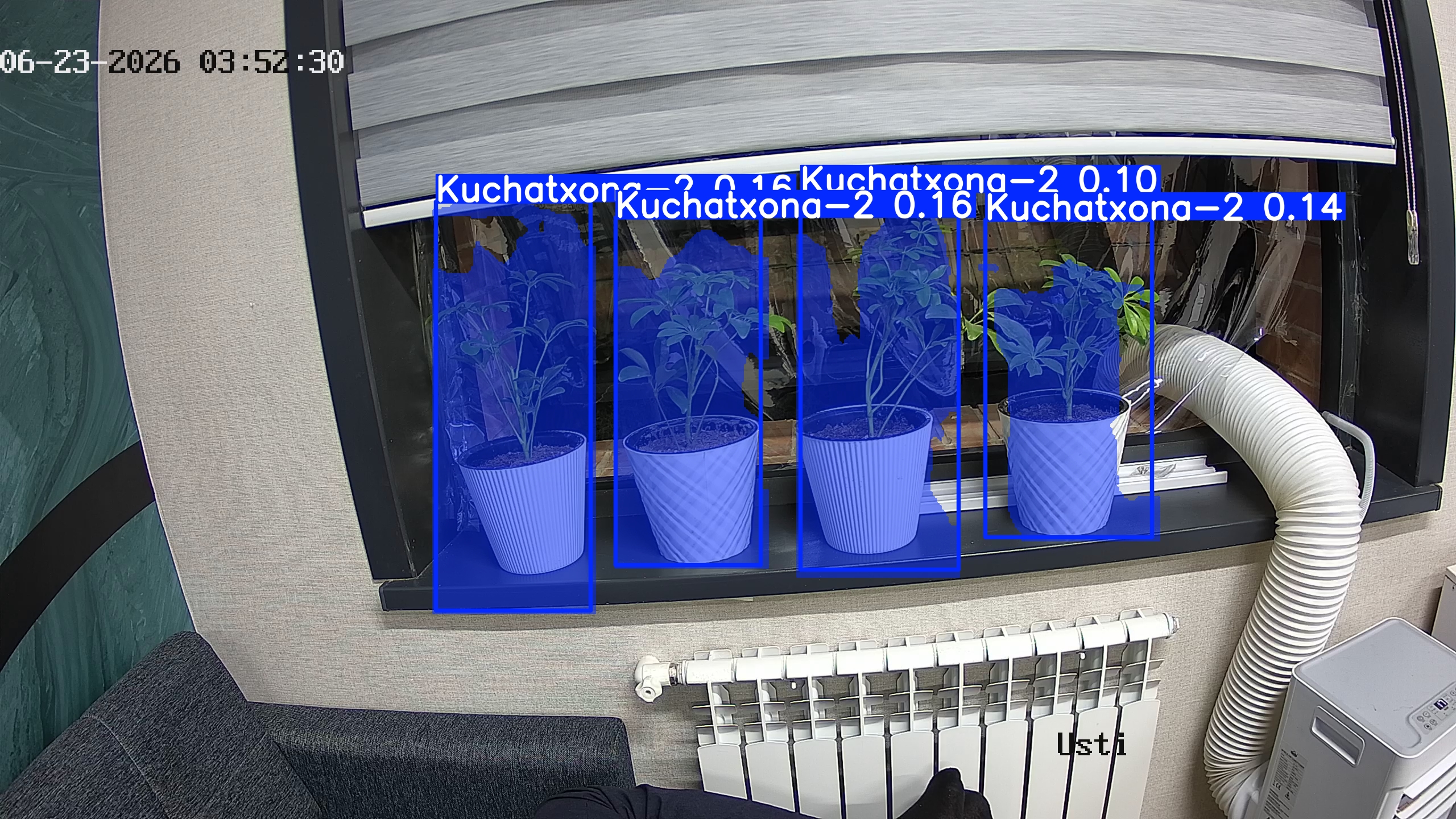 seedling_2026-06-23_03-52-45.jpg