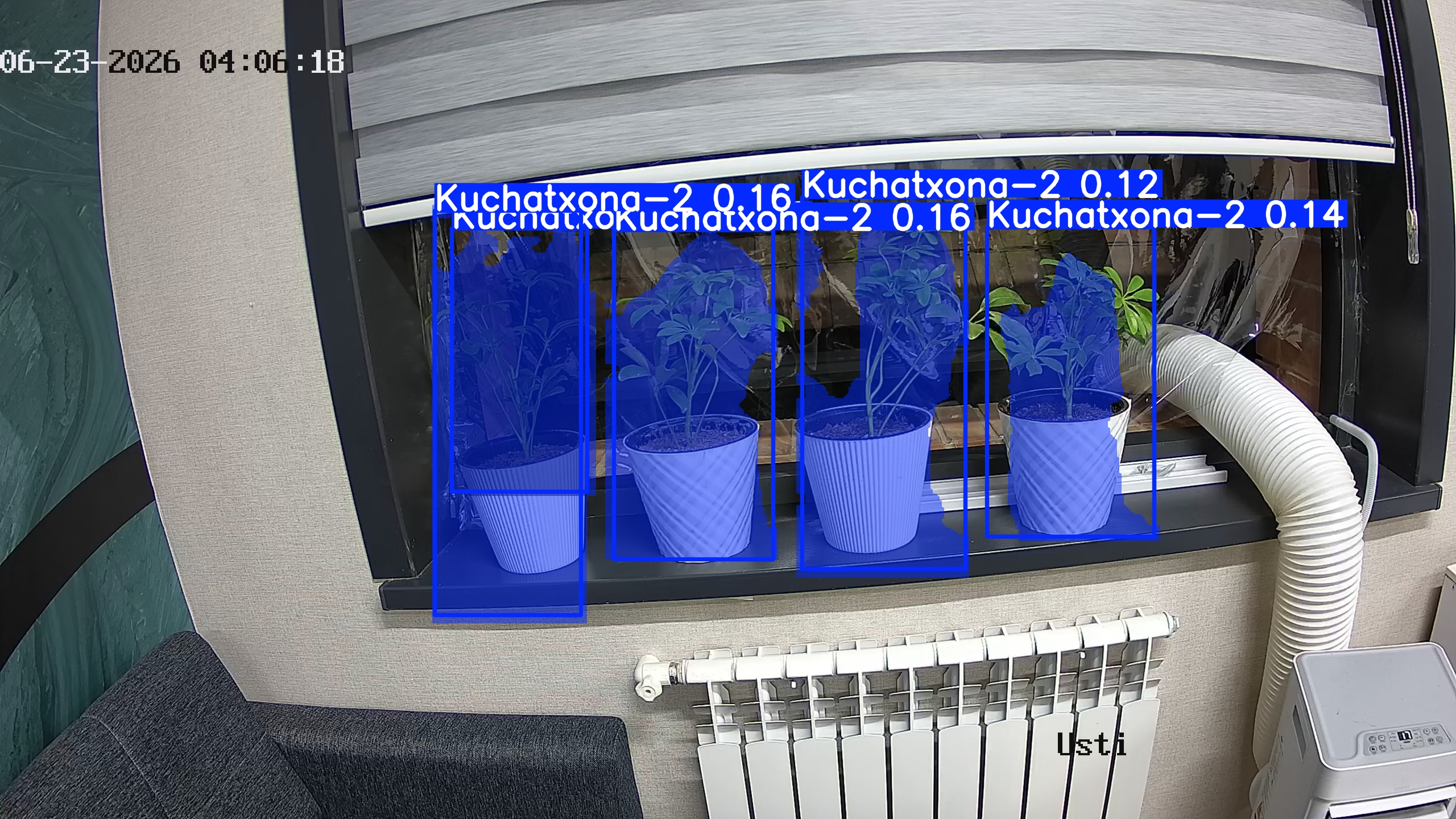 seedling_2026-06-23_04-06-33.jpg