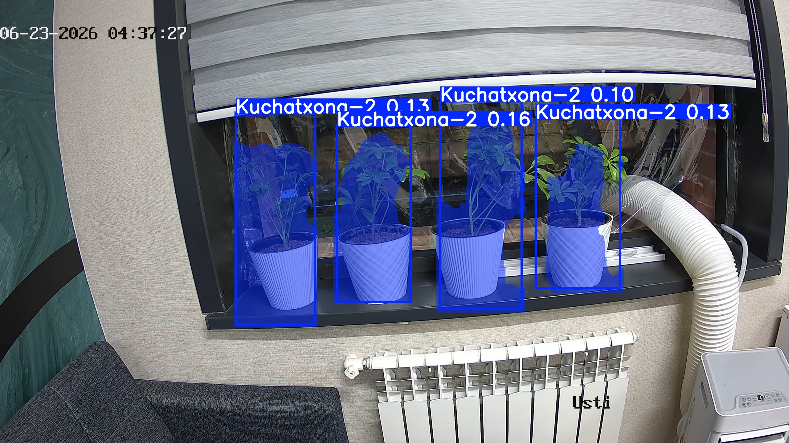 seedling_2026-06-23_04-37-42.jpg